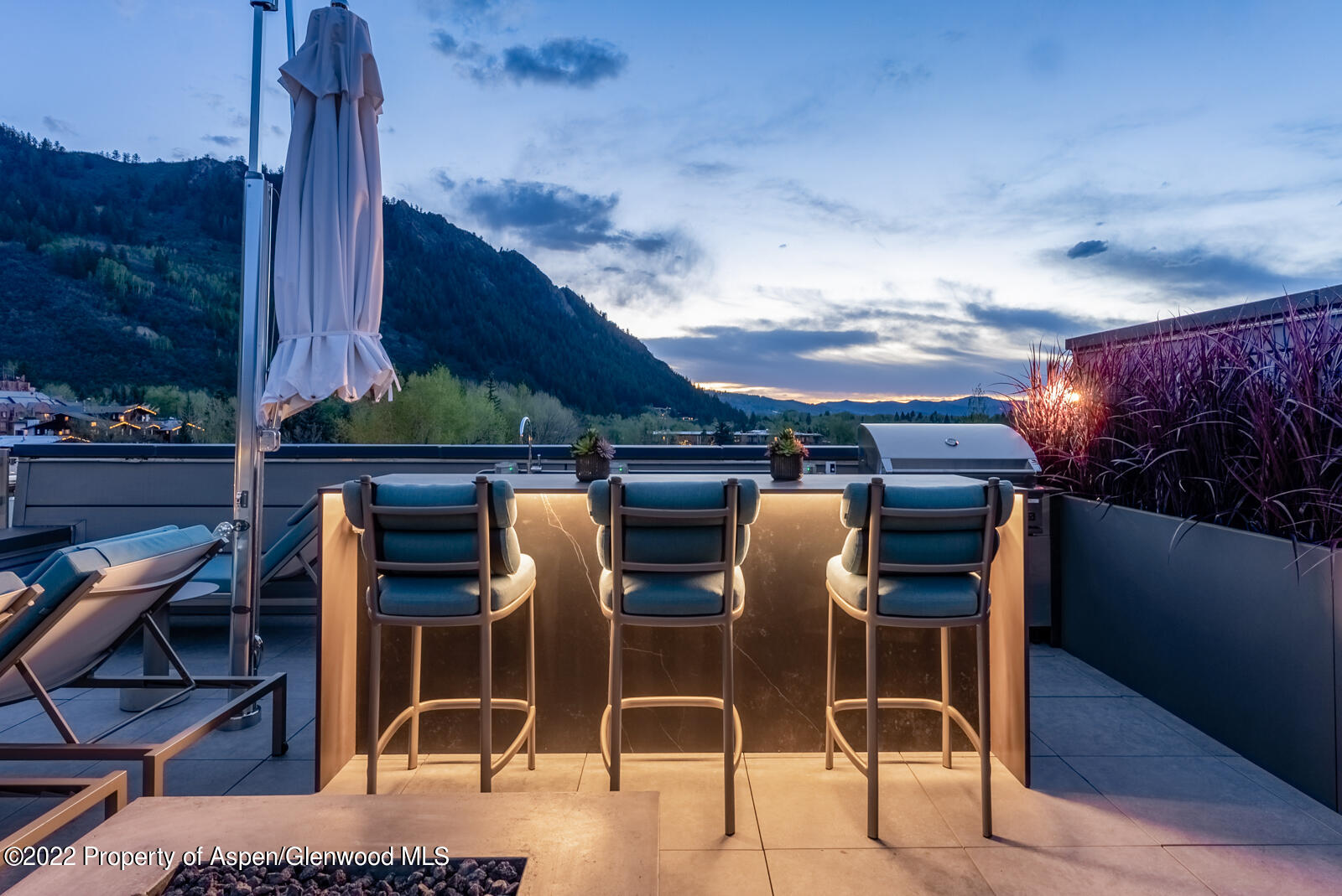 508 E Cooper Avenue Aspen CO 81611