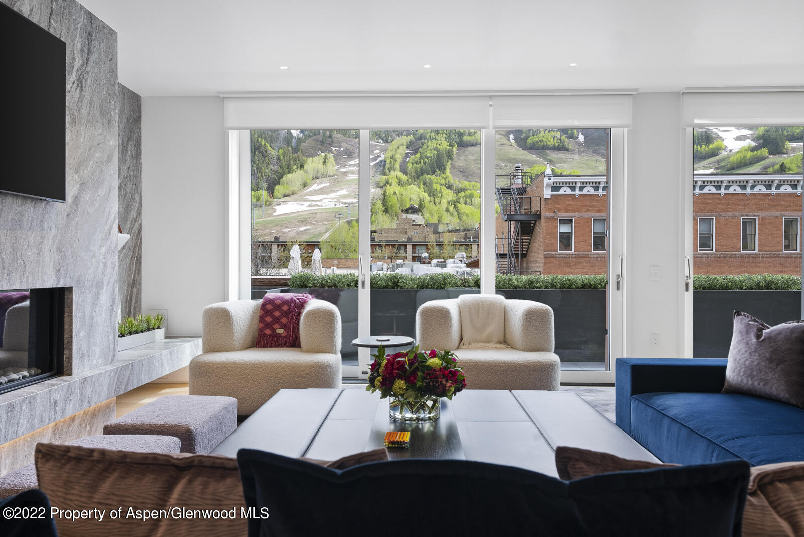 508 E Cooper Avenue Aspen CO 81611