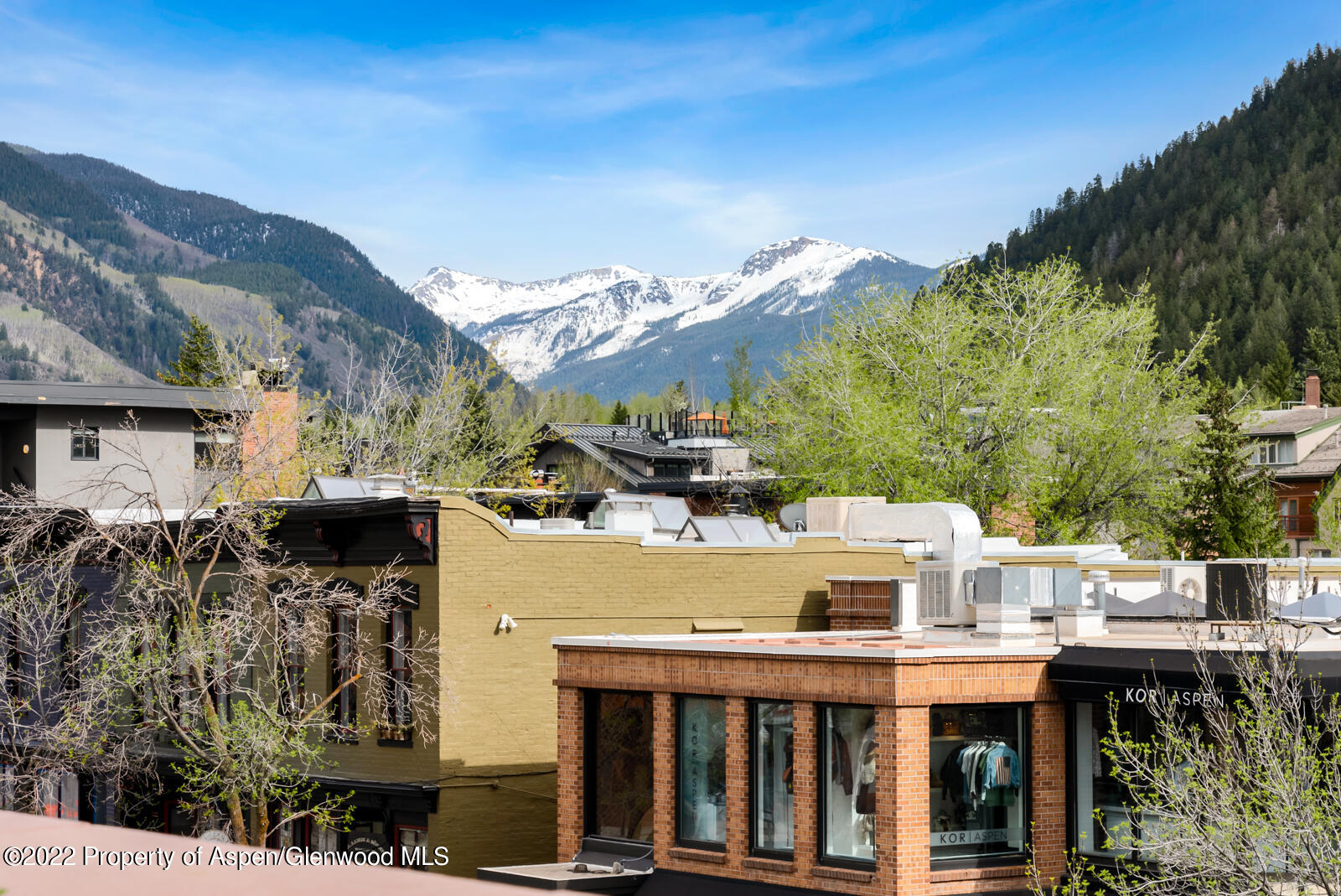 508 E Cooper Avenue Aspen CO 81611