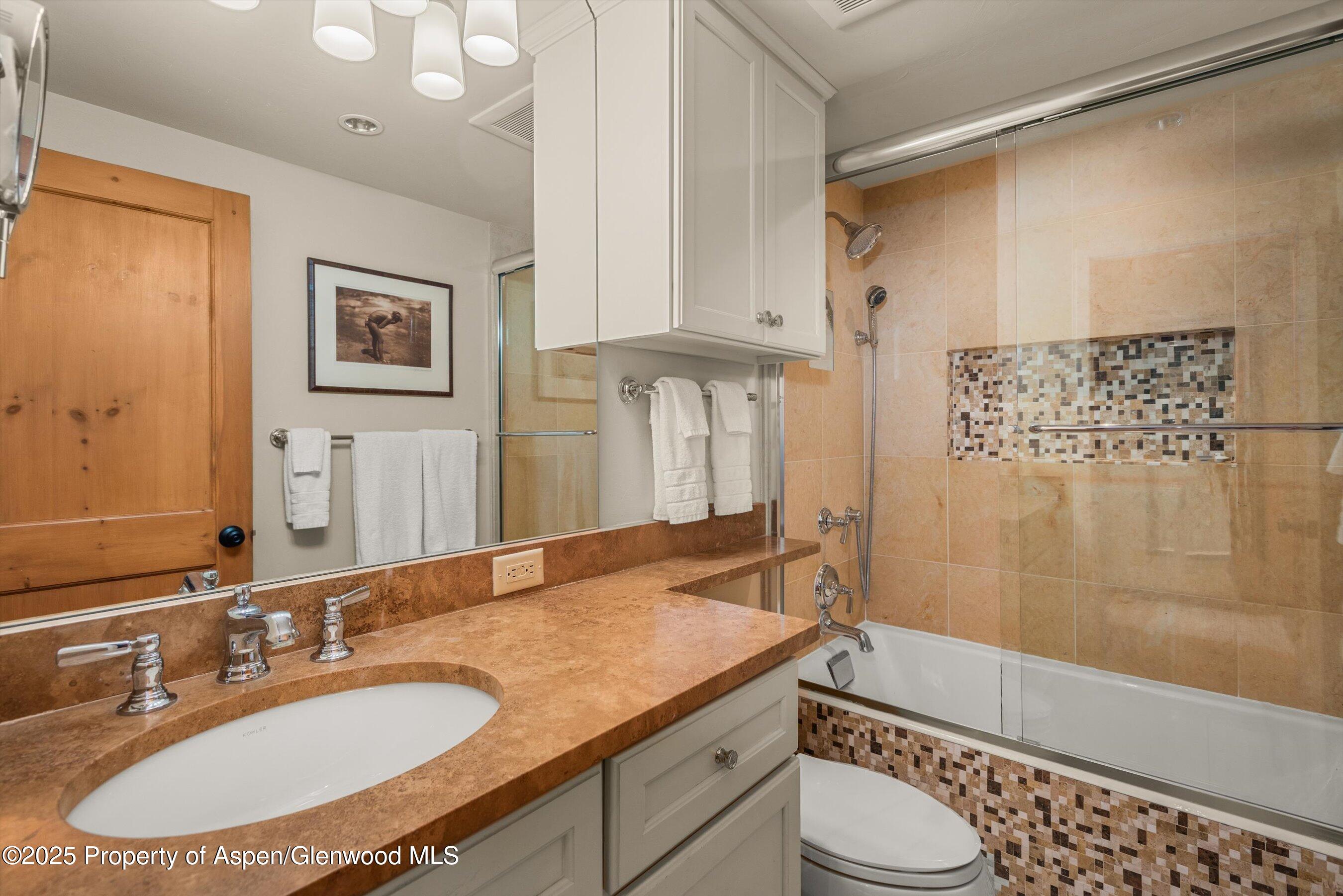 825 E Hopkins Avenue Aspen CO 81611