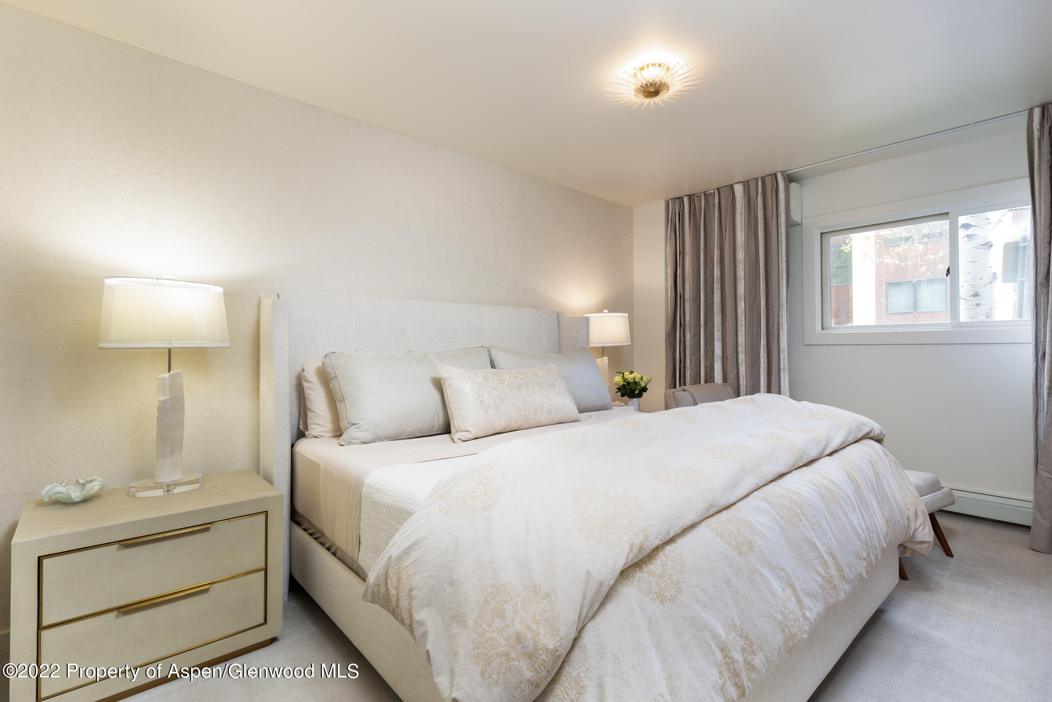 124 E Durant Avenue Aspen CO 81611