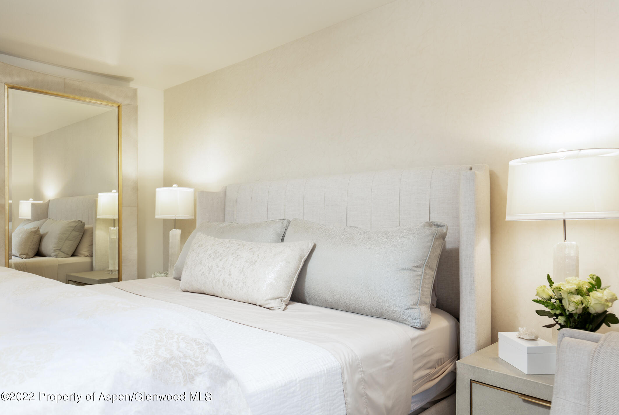 124 E Durant Avenue Aspen CO 81611