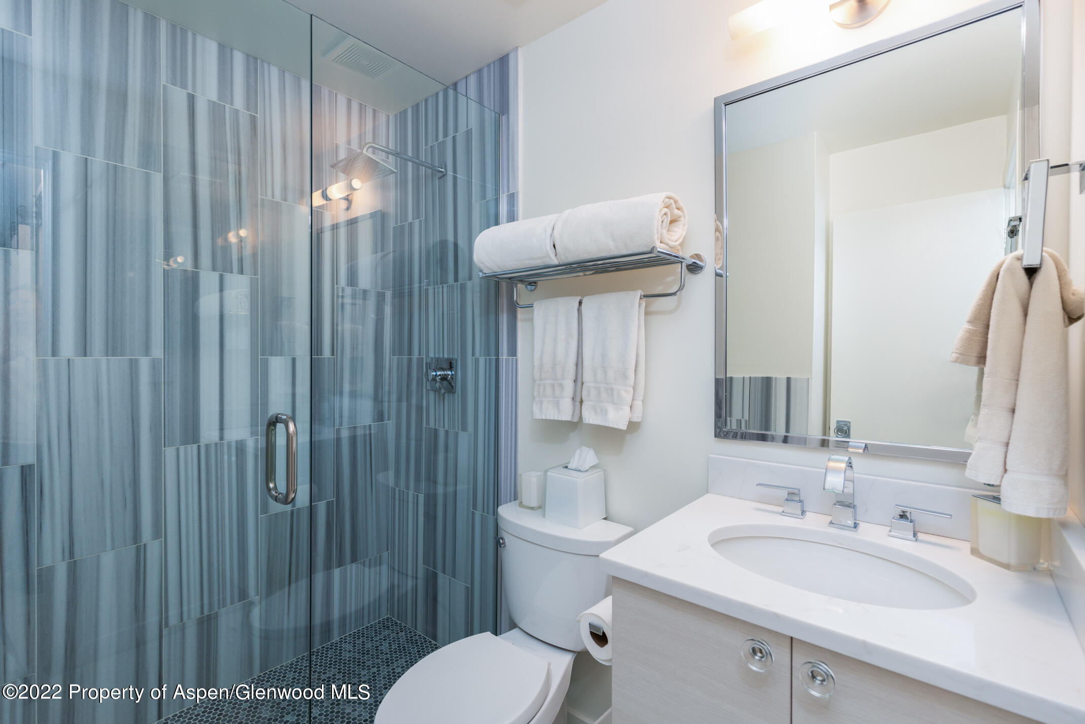 124 E Durant Avenue Aspen CO 81611