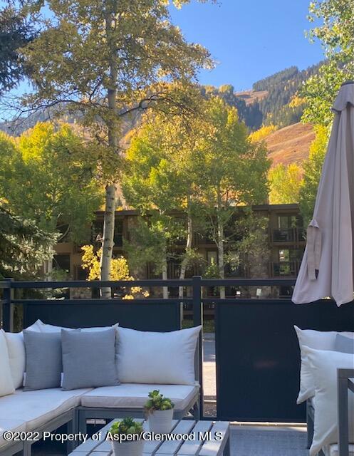 124 E Durant Avenue Aspen CO 81611