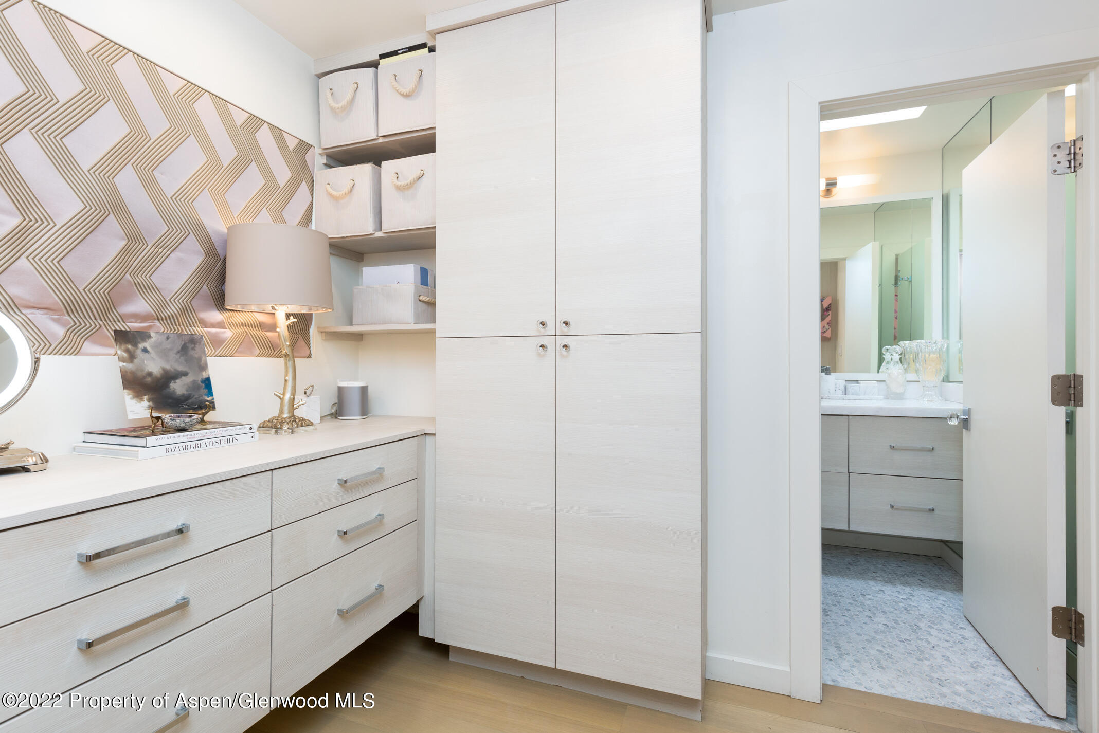 124 E Durant Avenue Aspen CO 81611