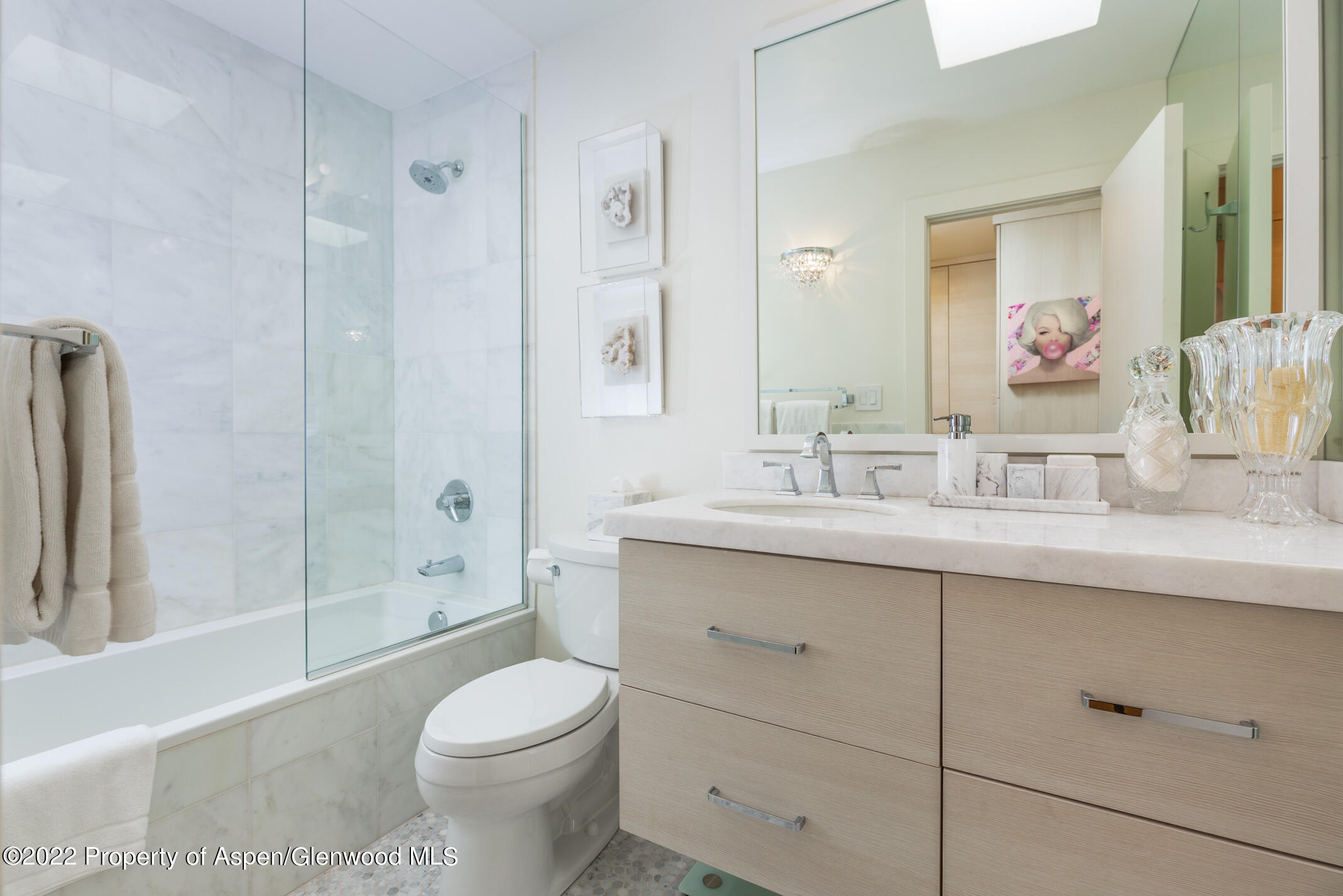 124 E Durant Avenue Aspen CO 81611