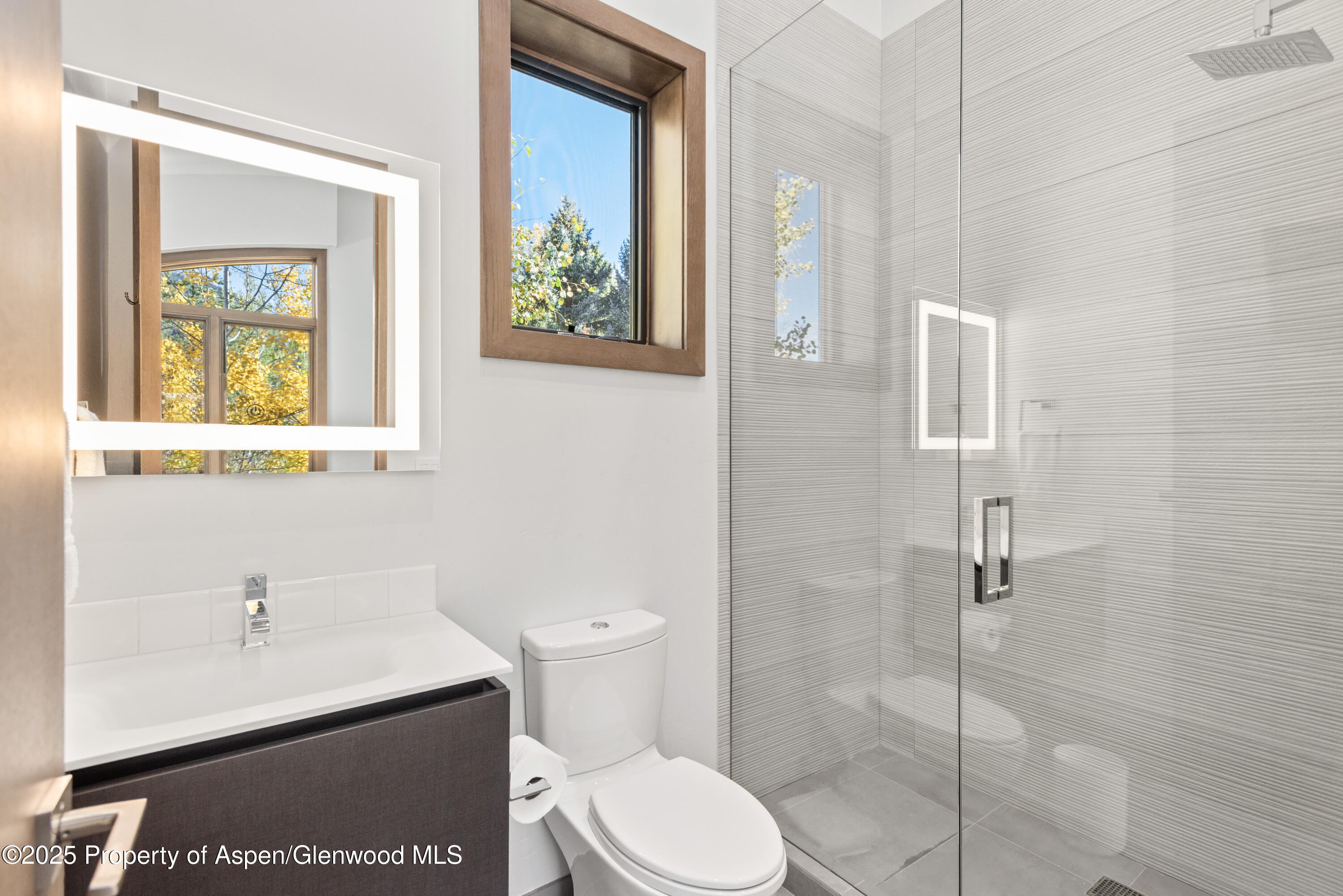 522 Spruce Street Aspen CO 81611