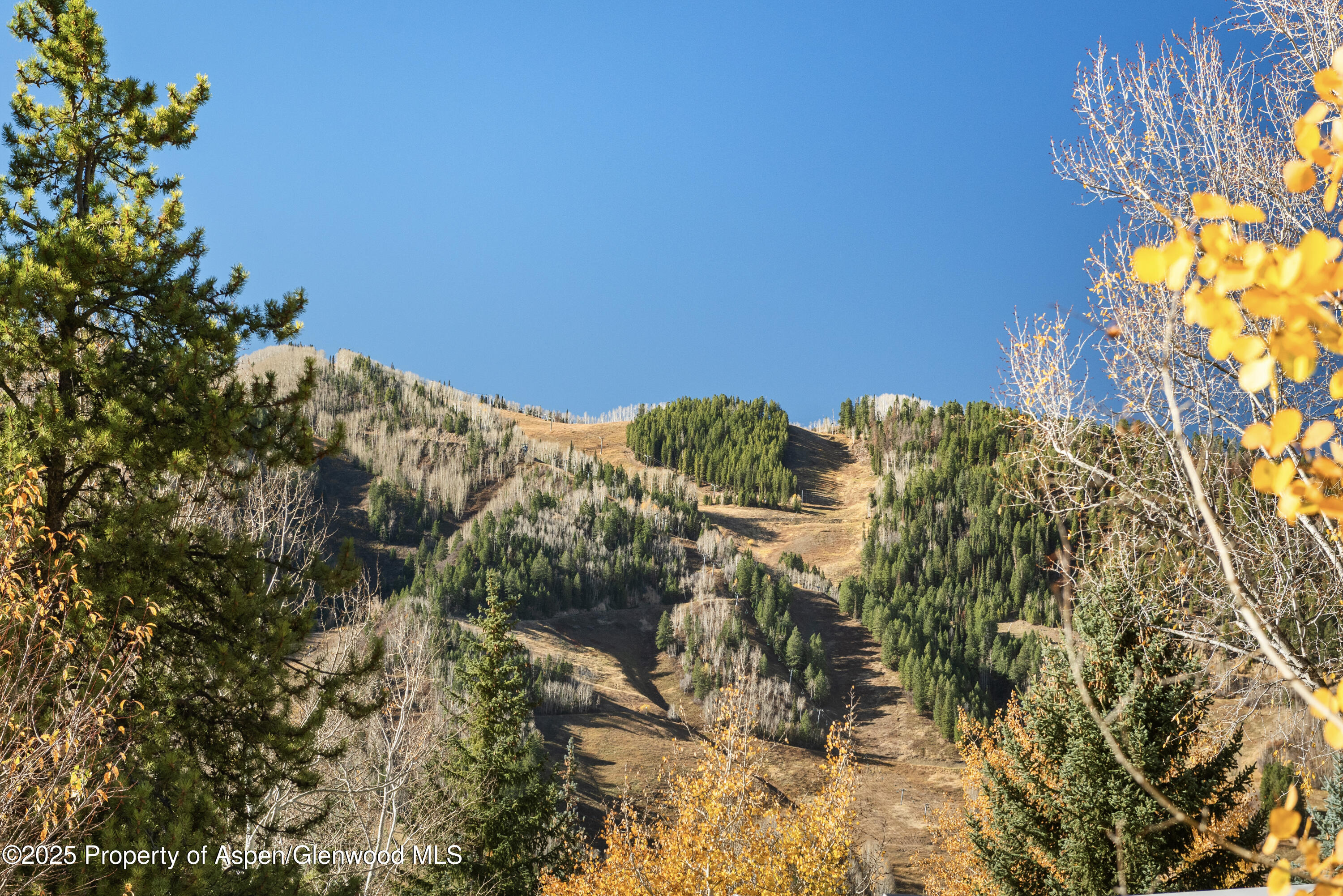 522 Spruce Street Aspen CO 81611