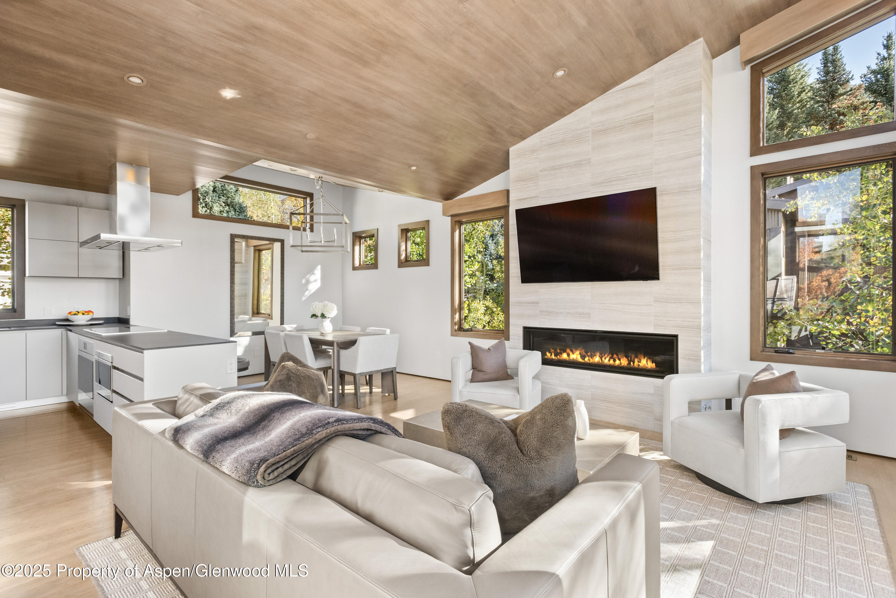 522 Spruce Street Aspen CO 81611