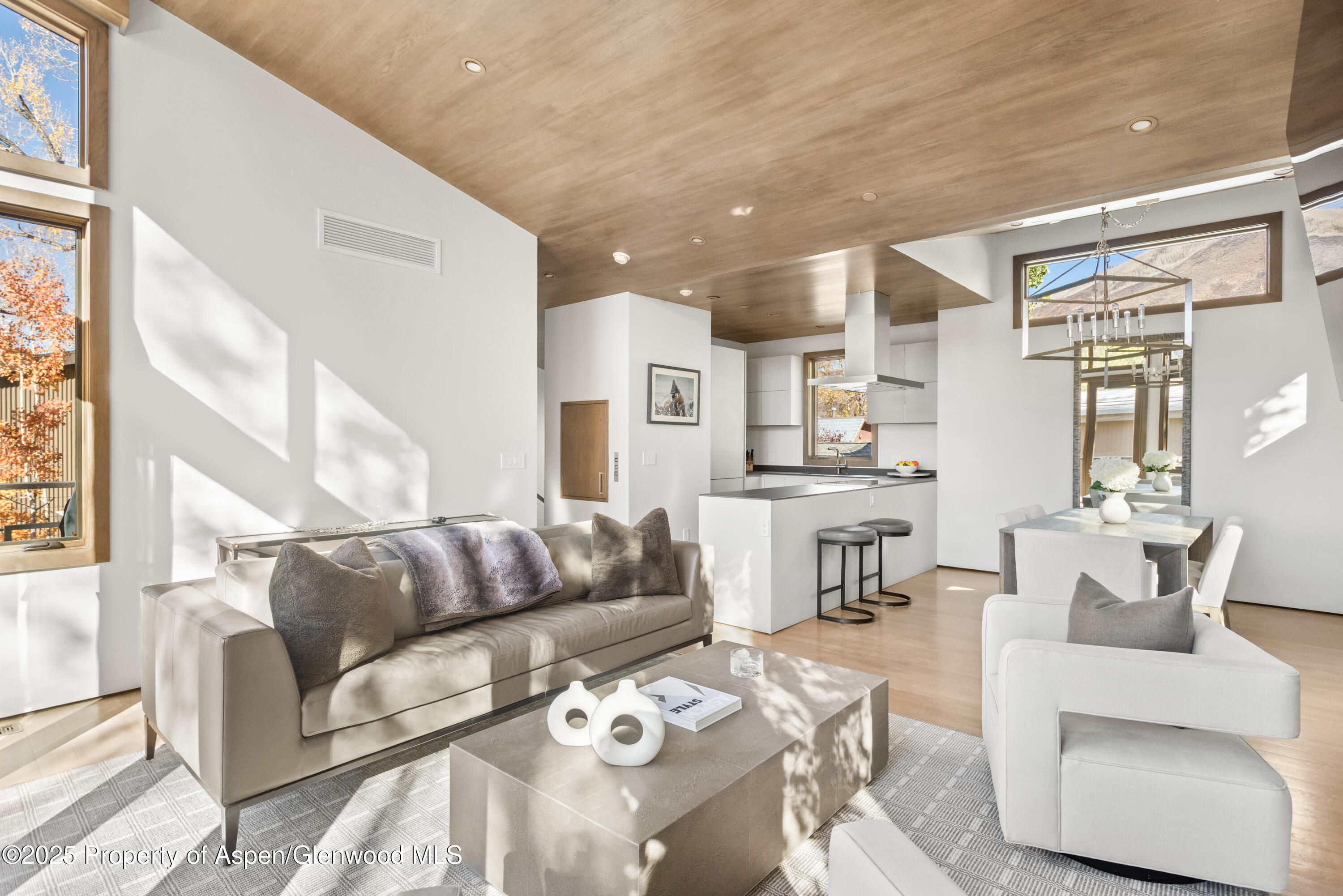 522 Spruce Street Aspen CO 81611