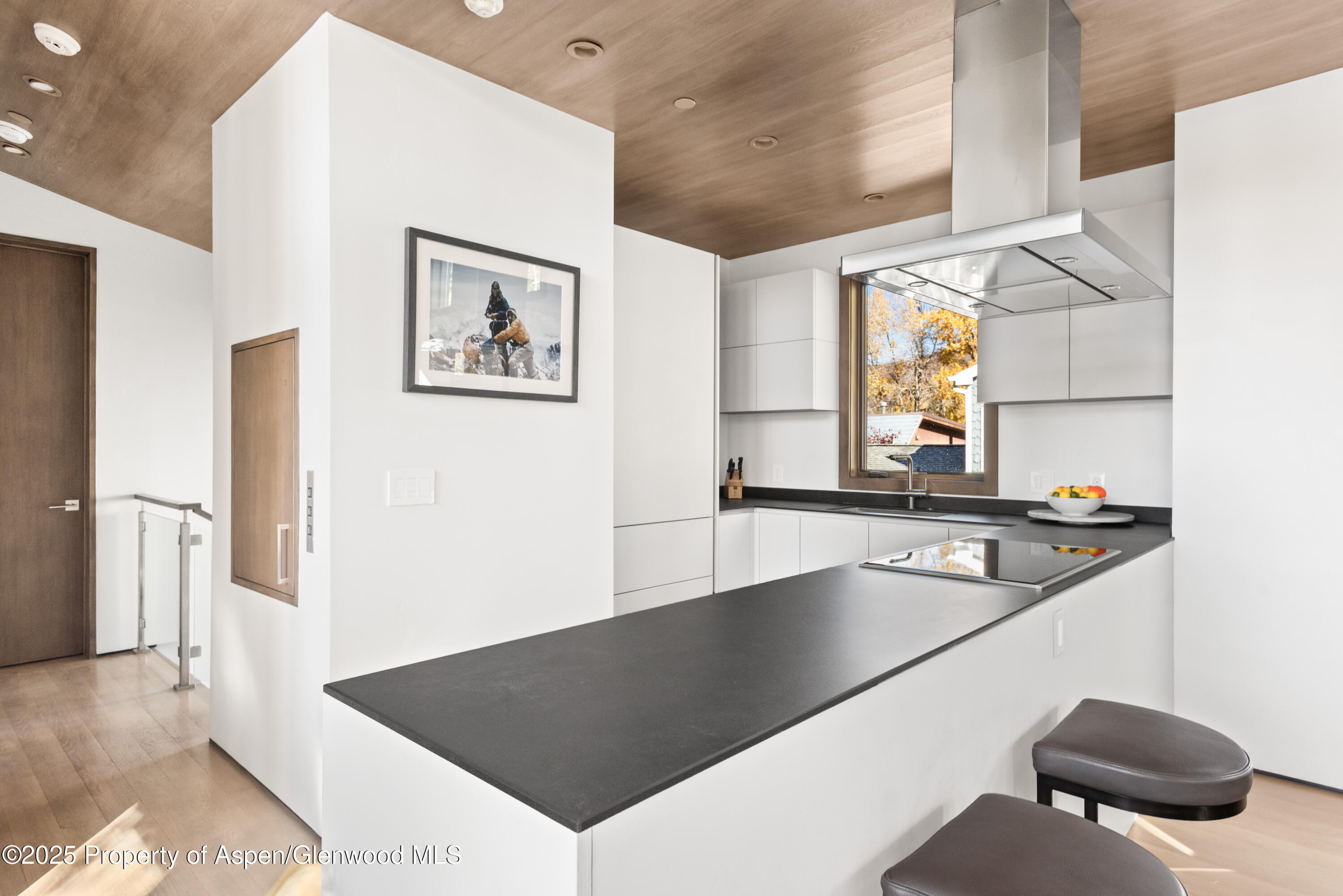 522 Spruce Street Aspen CO 81611