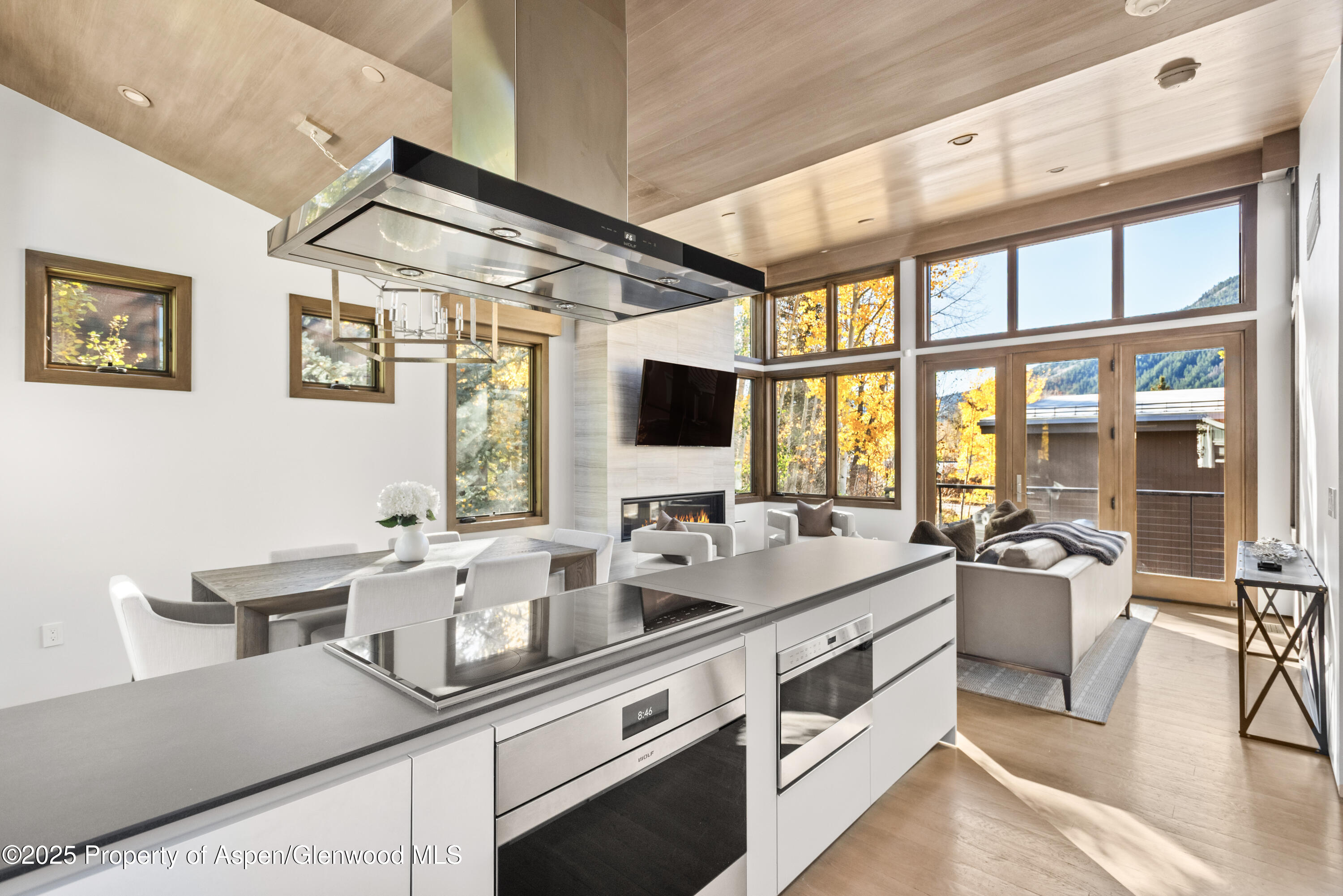 522 Spruce Street Aspen CO 81611