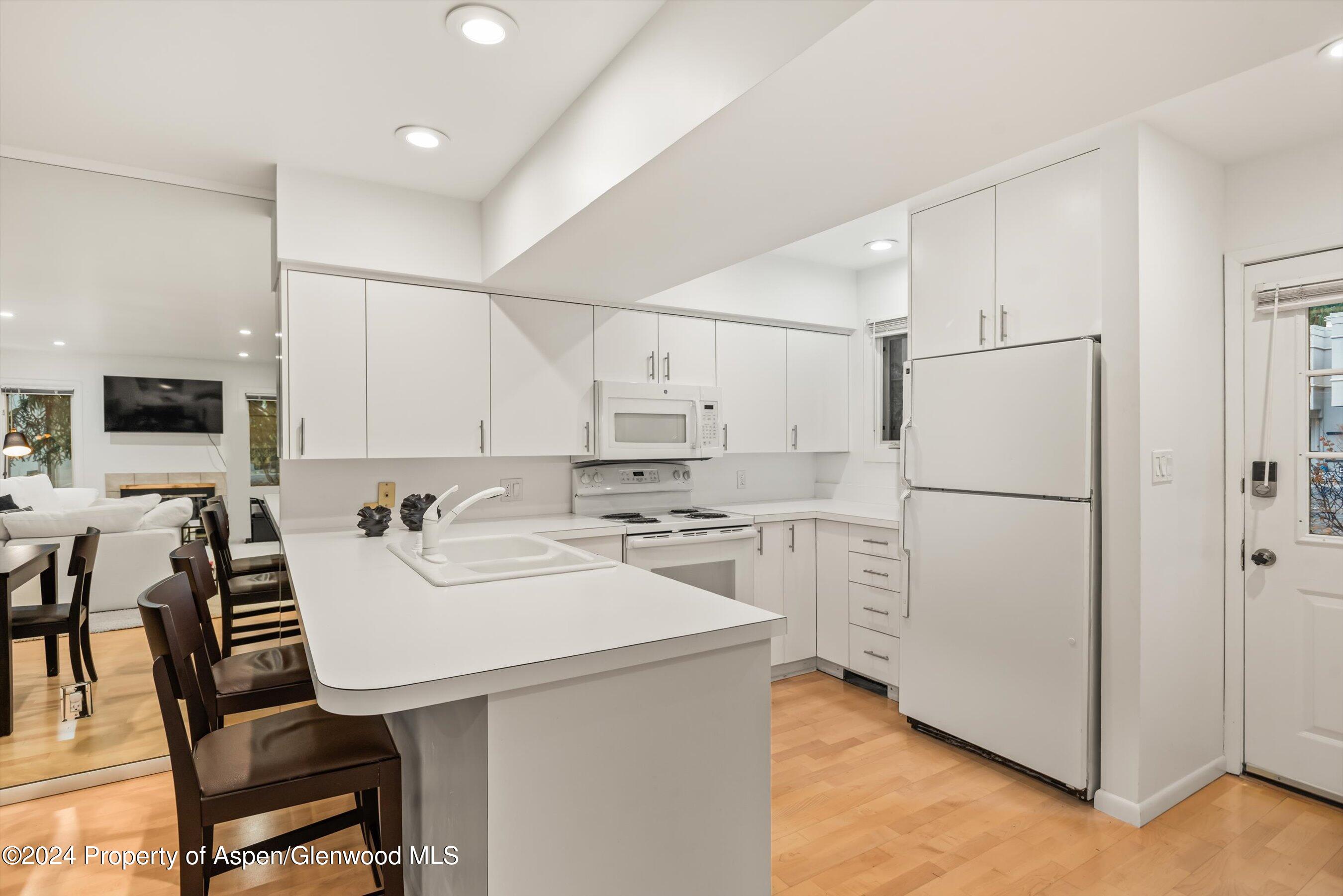 814 W Bleeker Street Aspen CO 81611