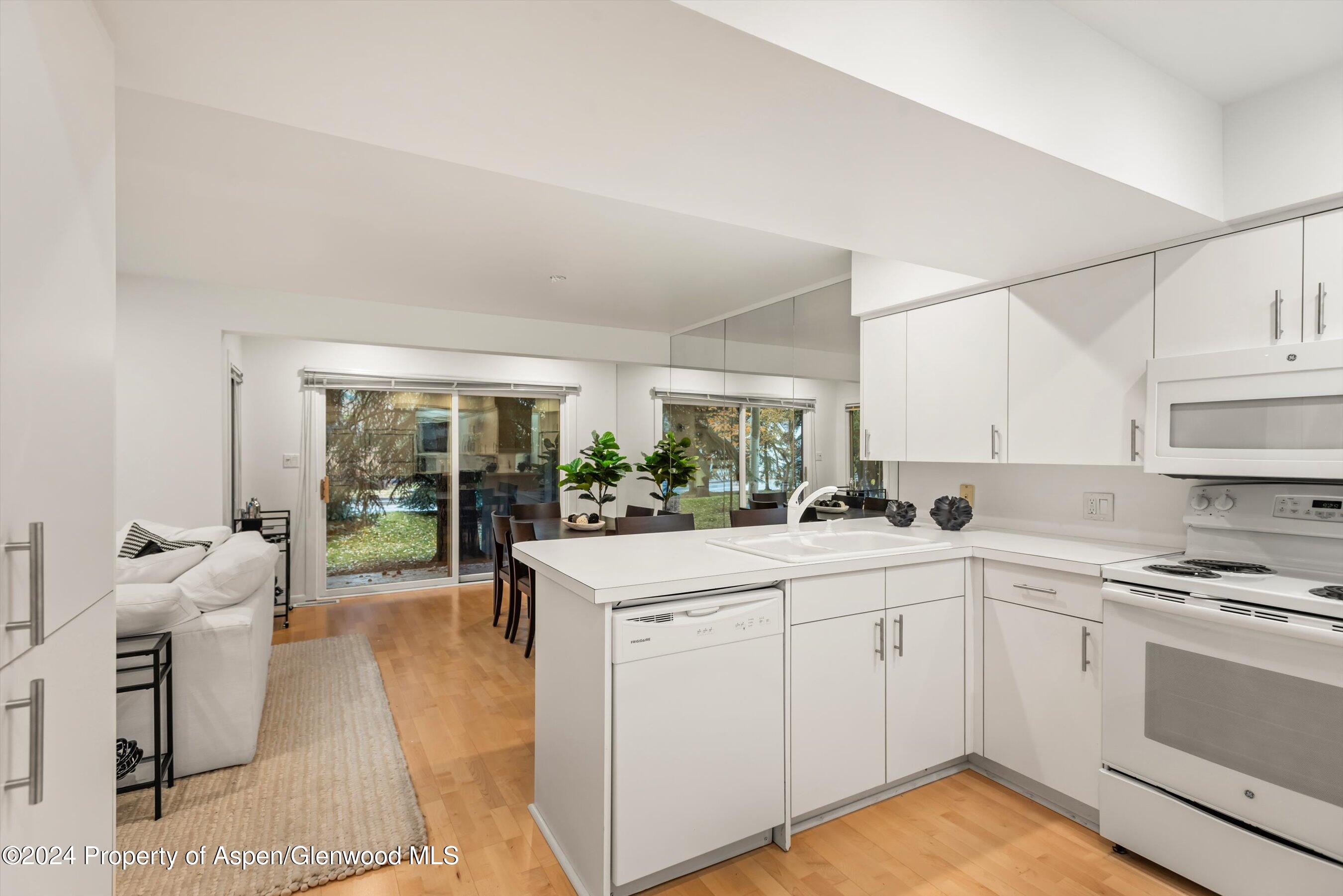 814 W Bleeker Street Aspen CO 81611