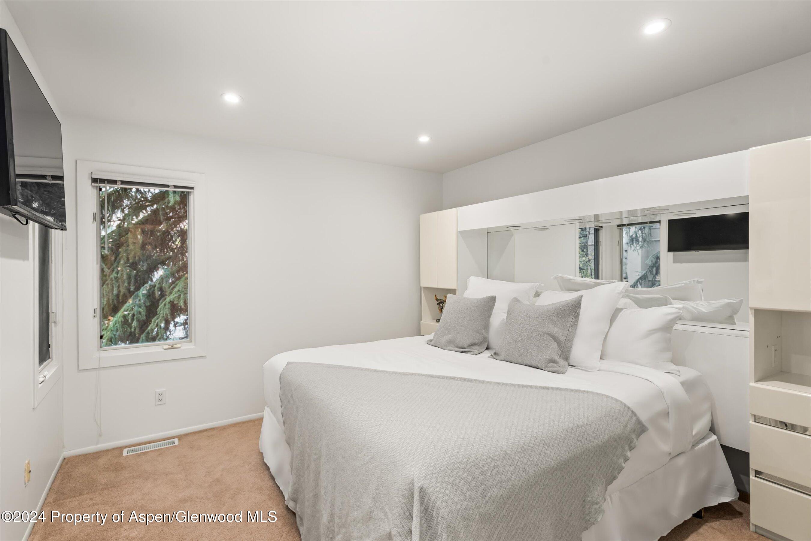 814 W Bleeker Street Aspen CO 81611