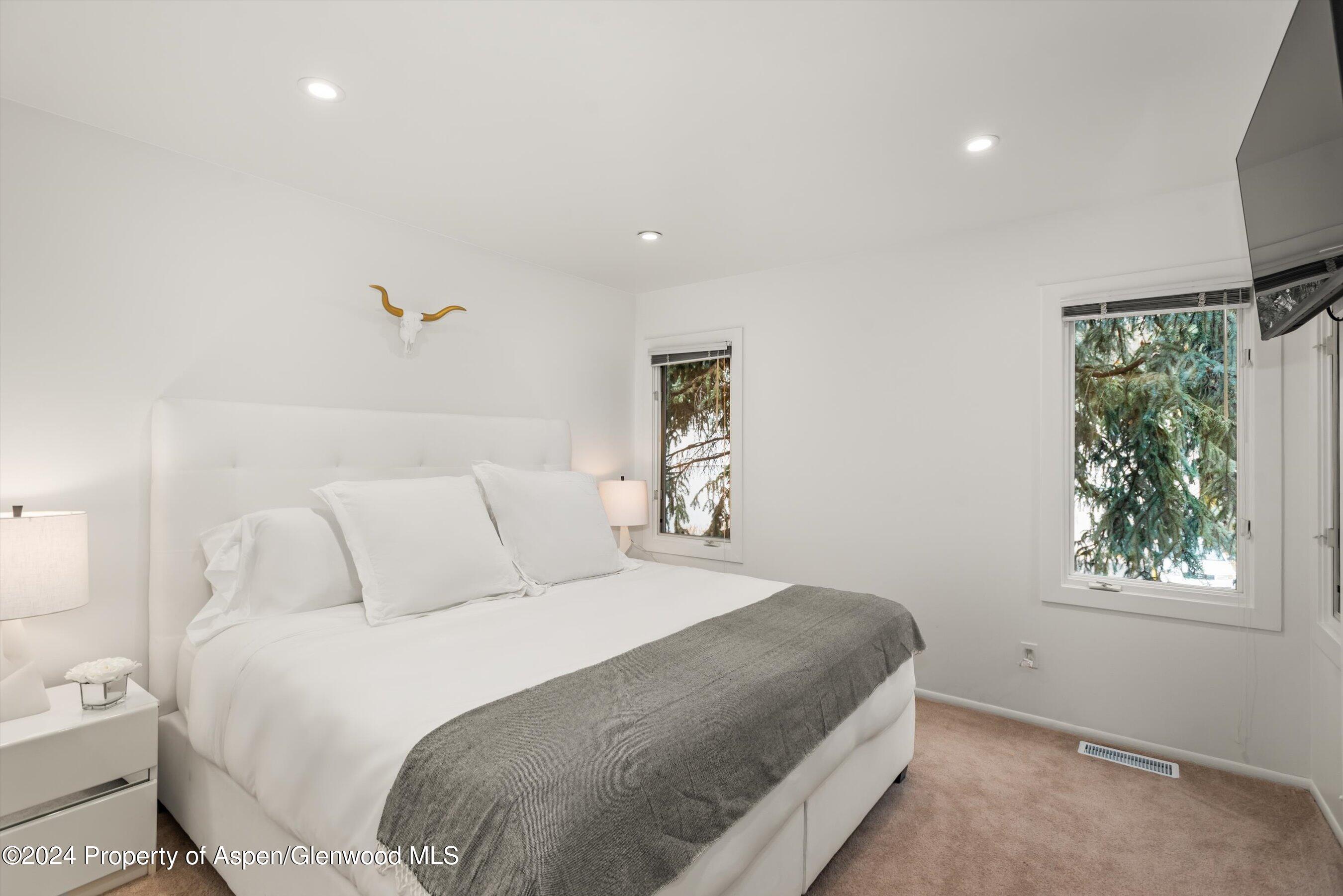 814 W Bleeker Street Aspen CO 81611