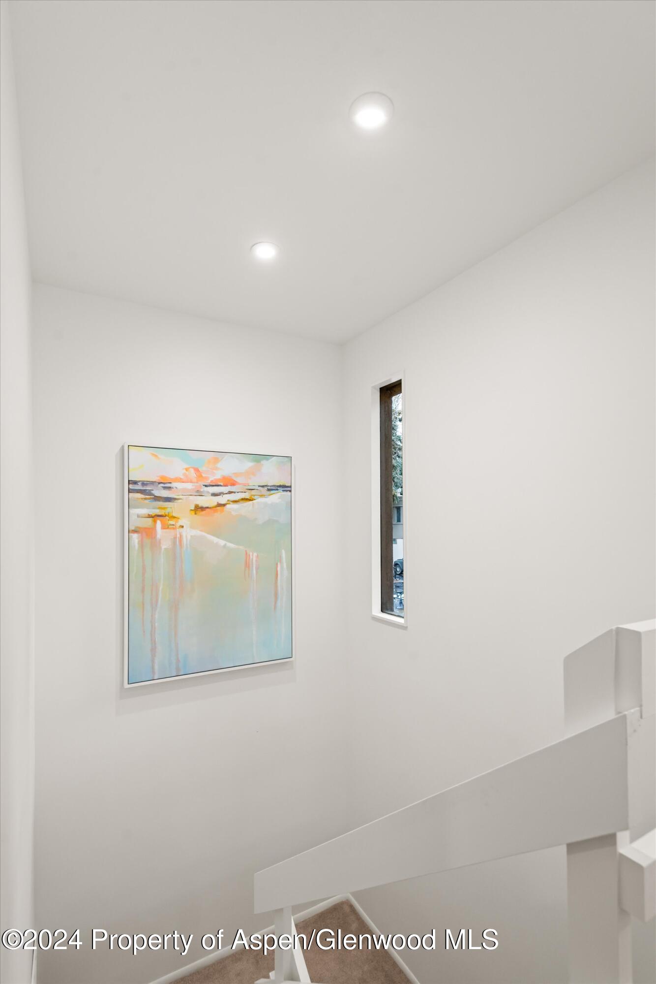 814 W Bleeker Street Aspen CO 81611