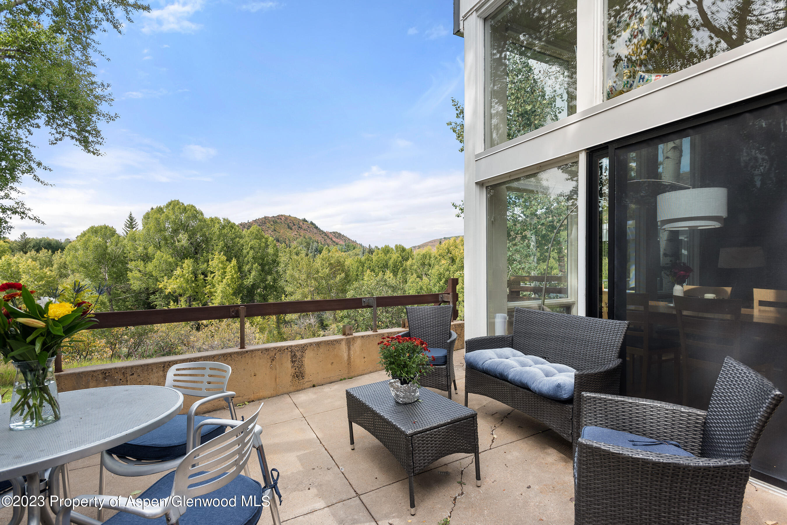 81 Meadows Trustee Road Aspen CO 81611