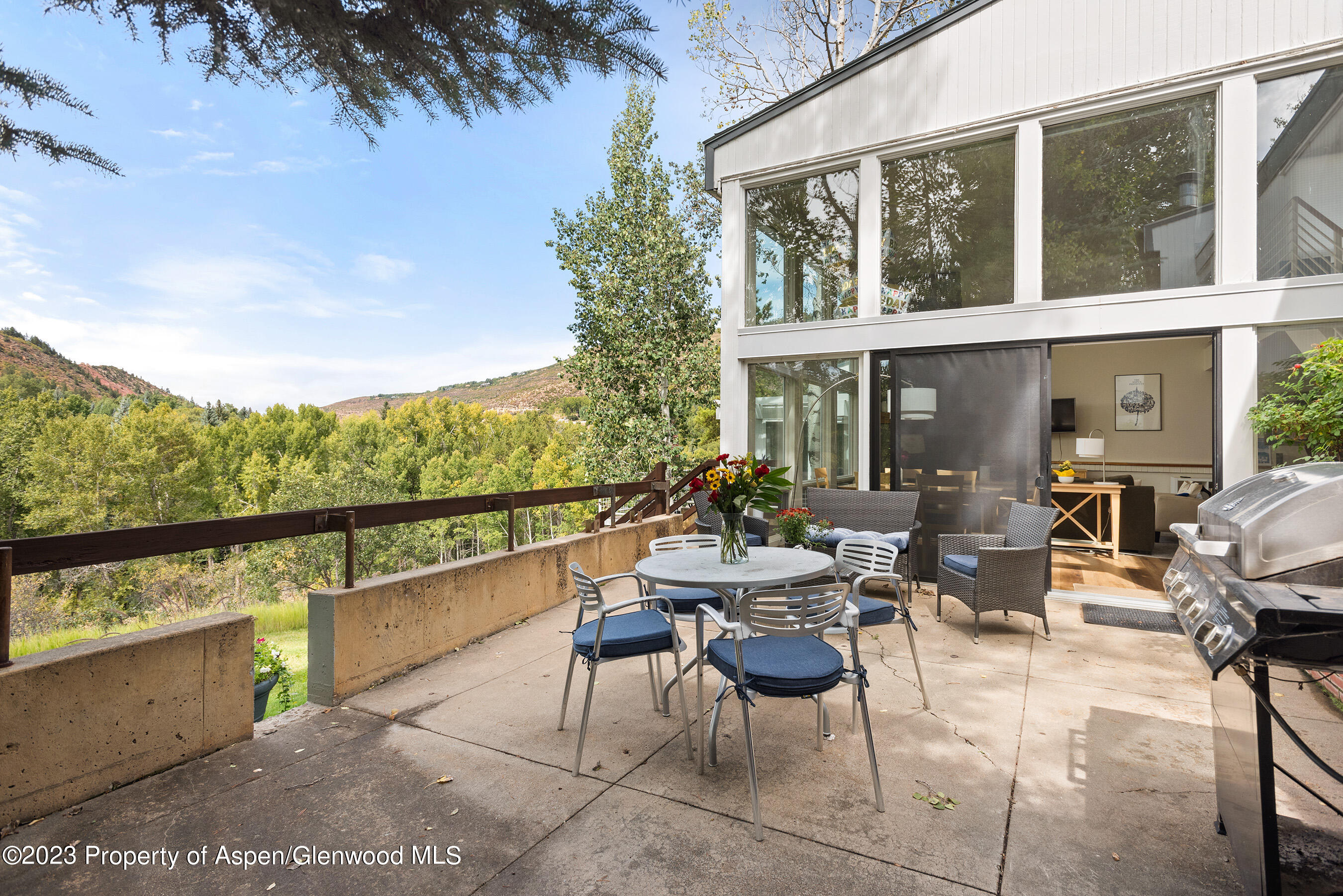 81 Meadows Trustee Road Aspen CO 81611