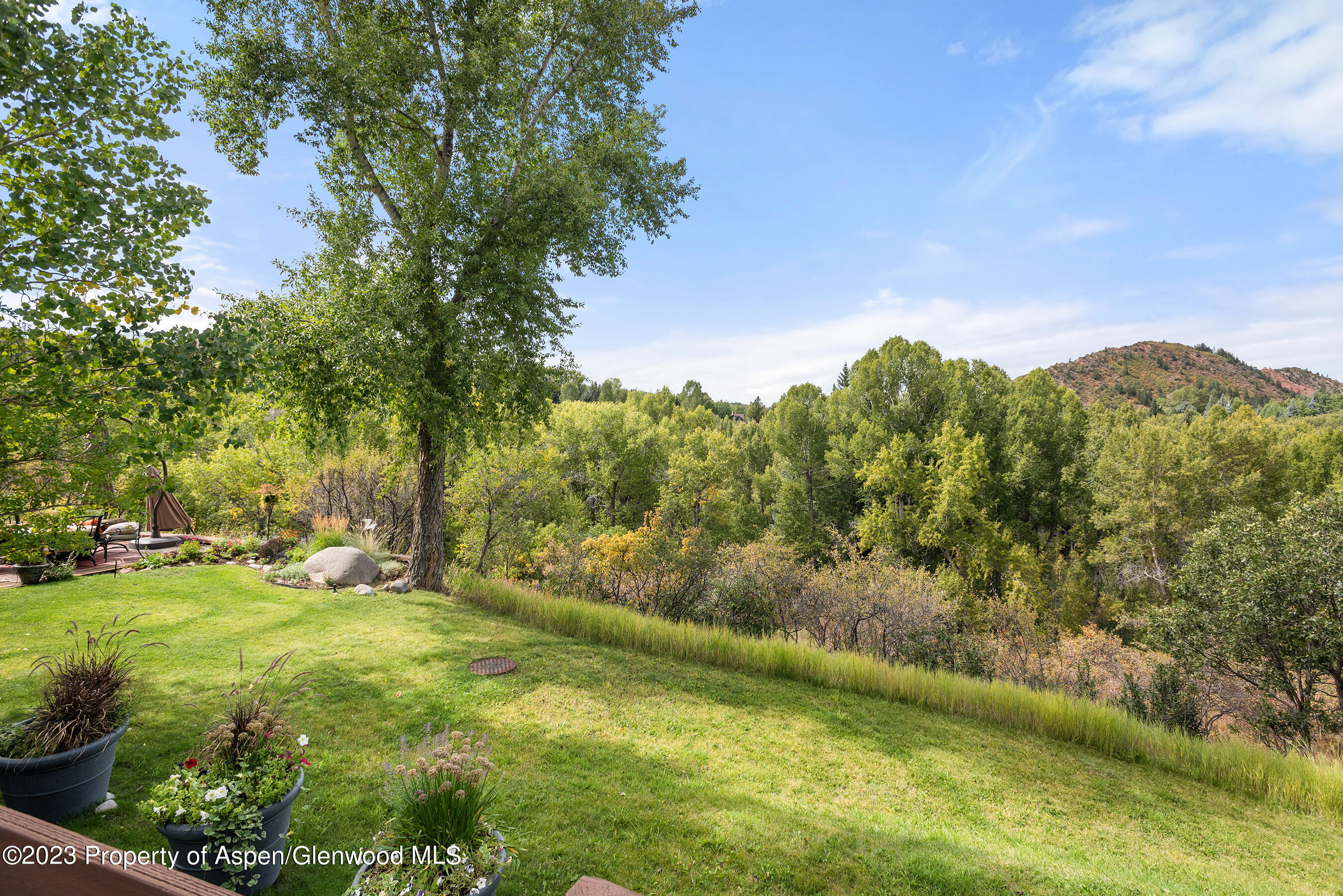 81 Meadows Trustee Road Aspen CO 81611