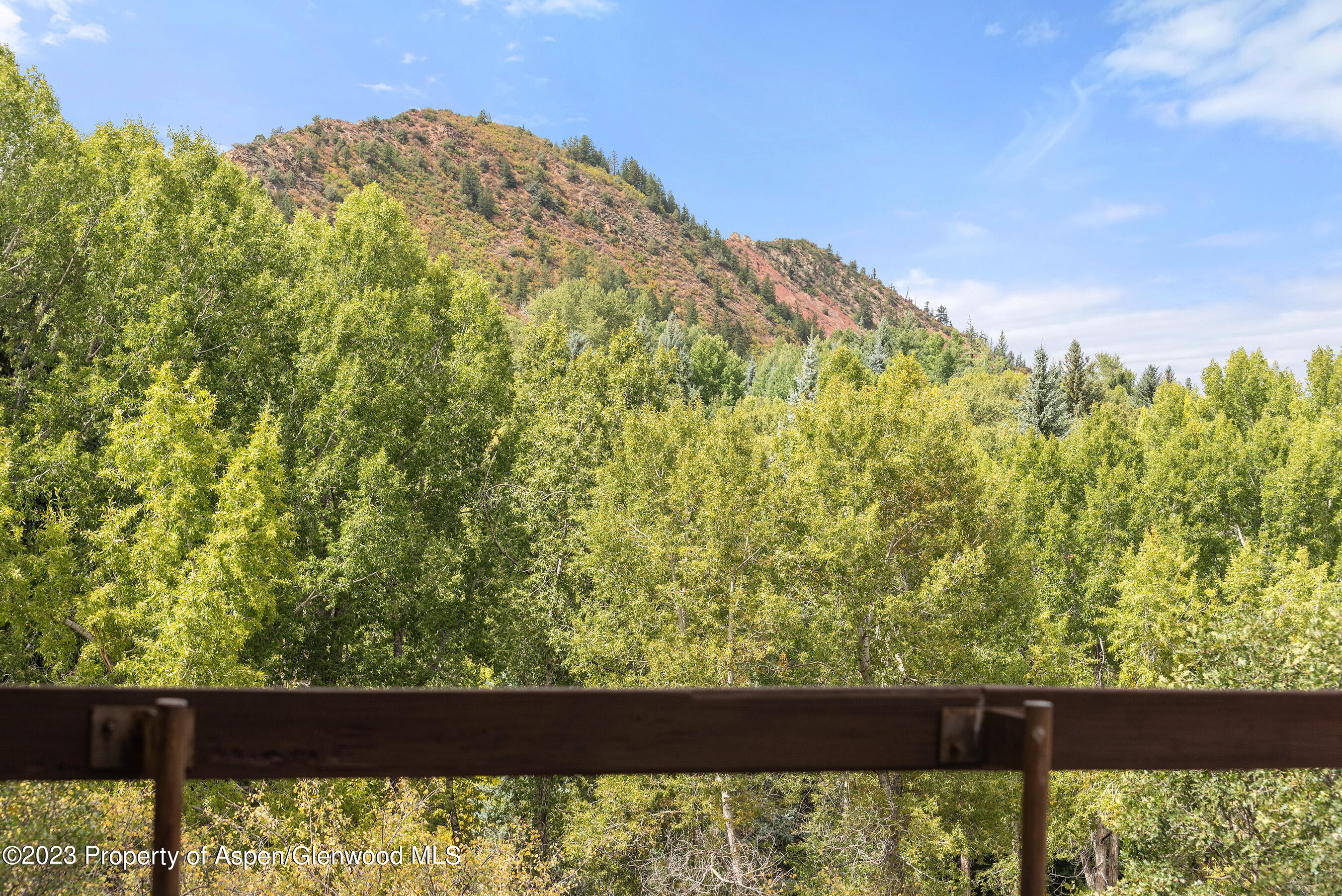 81 Meadows Trustee Road Aspen CO 81611