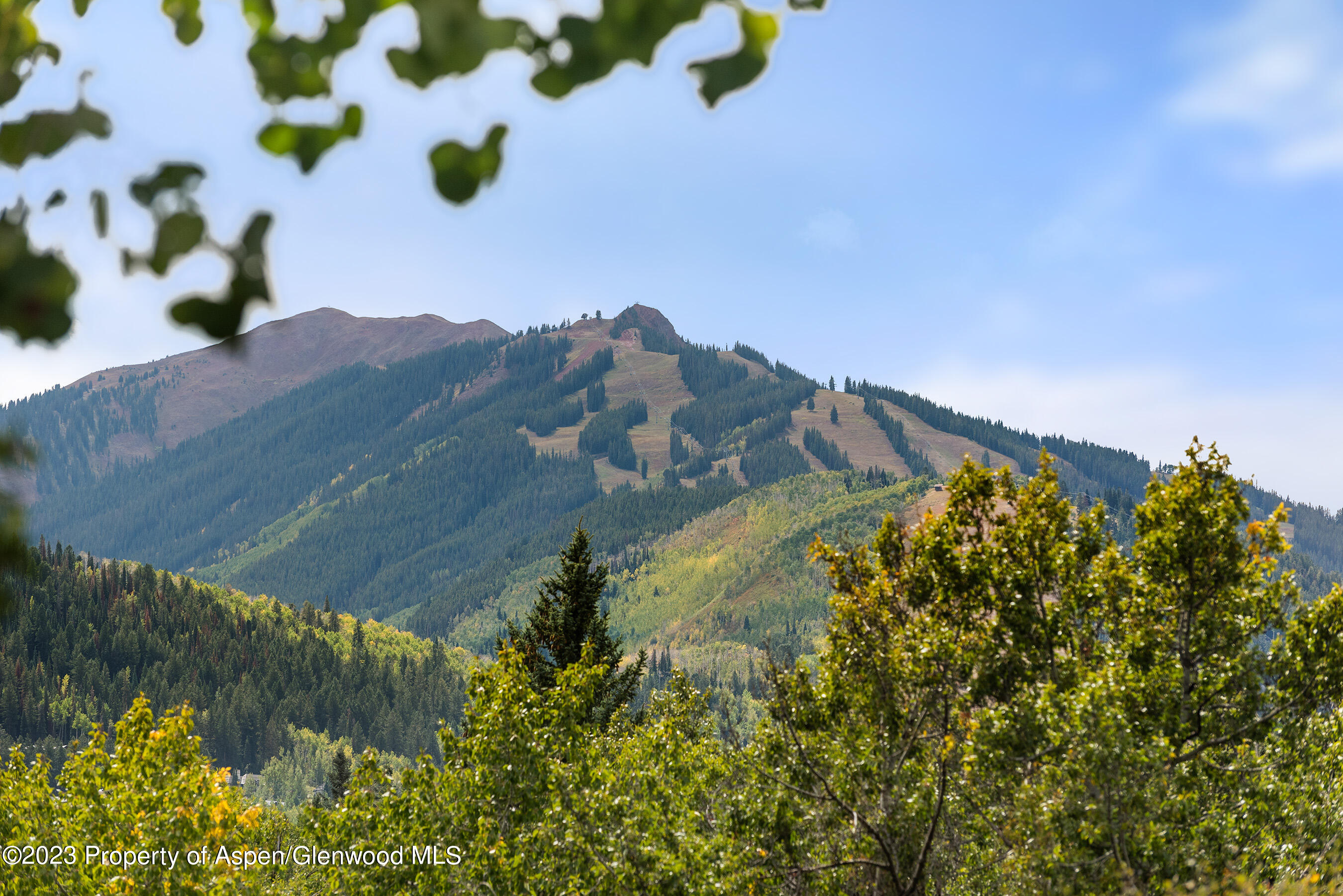 81 Meadows Trustee Road Aspen CO 81611