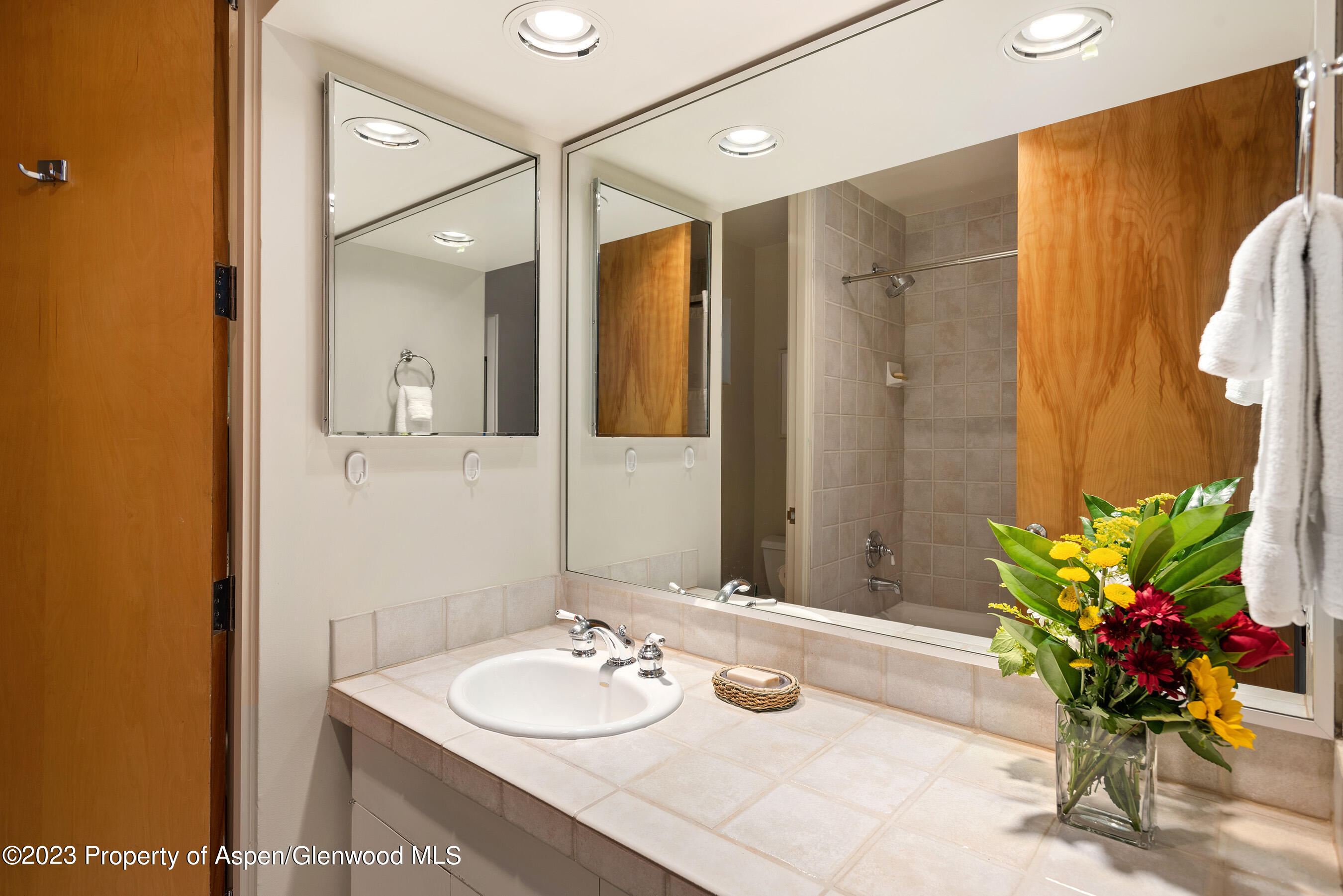 81 Meadows Trustee Road Aspen CO 81611