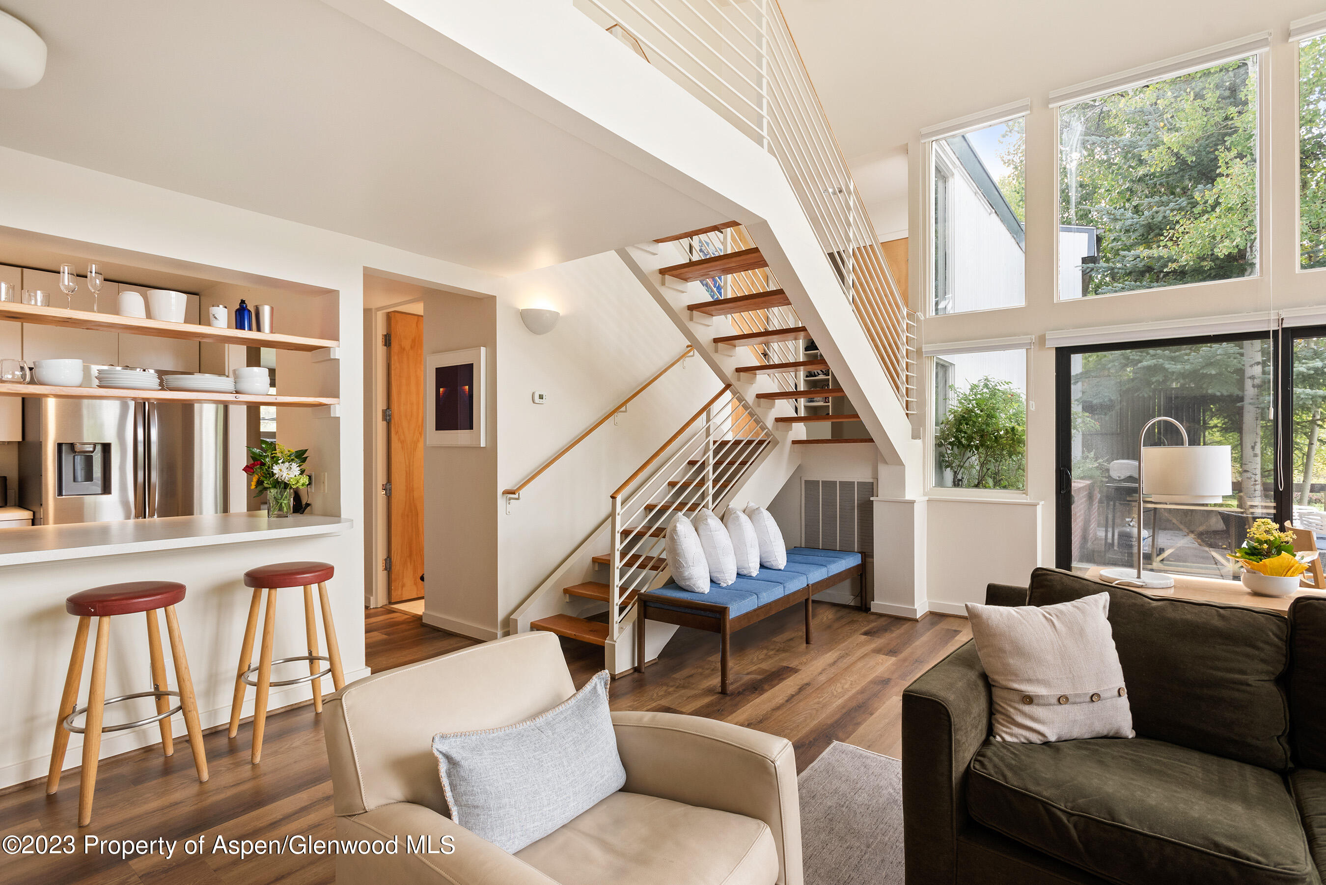 81 Meadows Trustee Road Aspen CO 81611