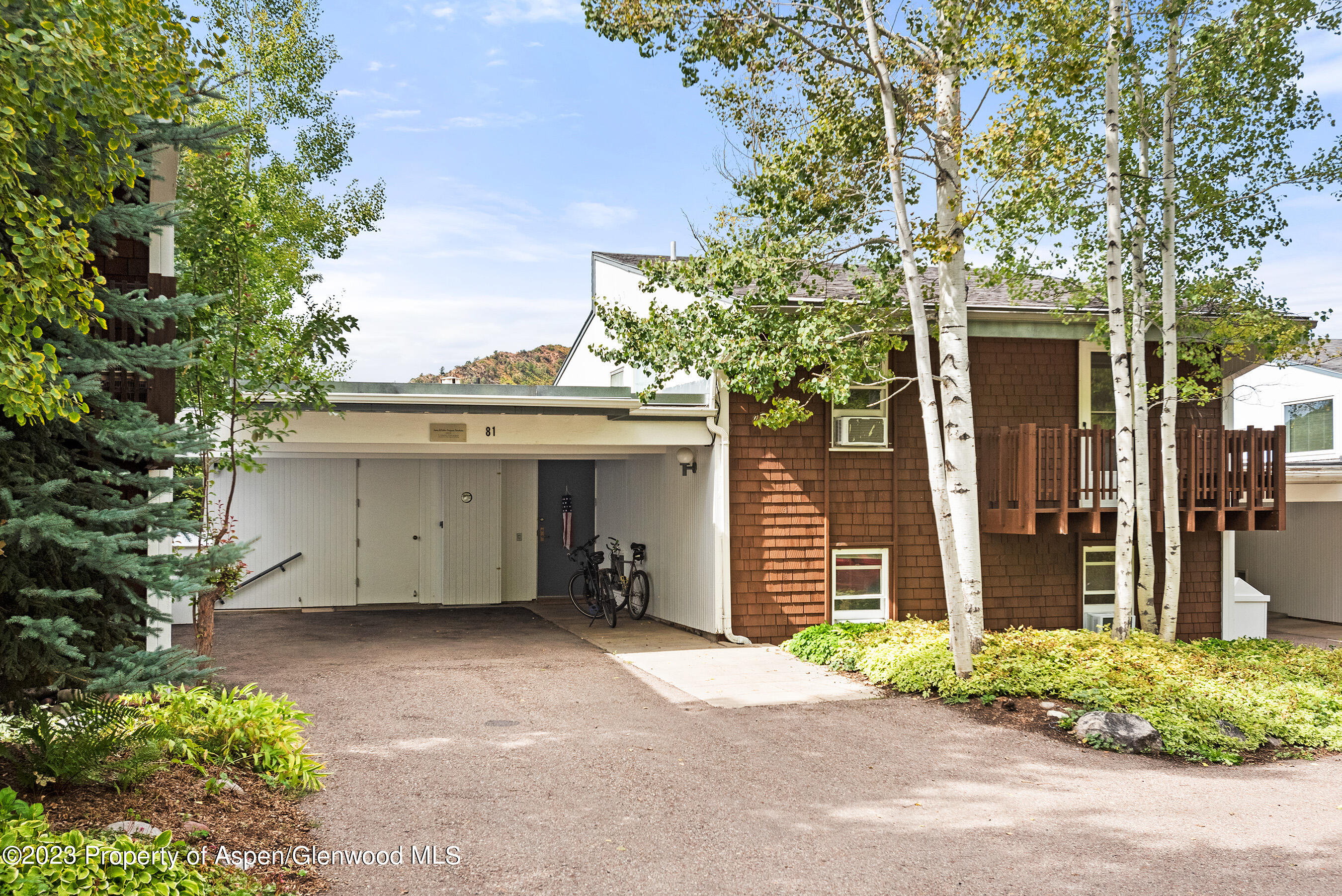 81 Meadows Trustee Road Aspen CO 81611