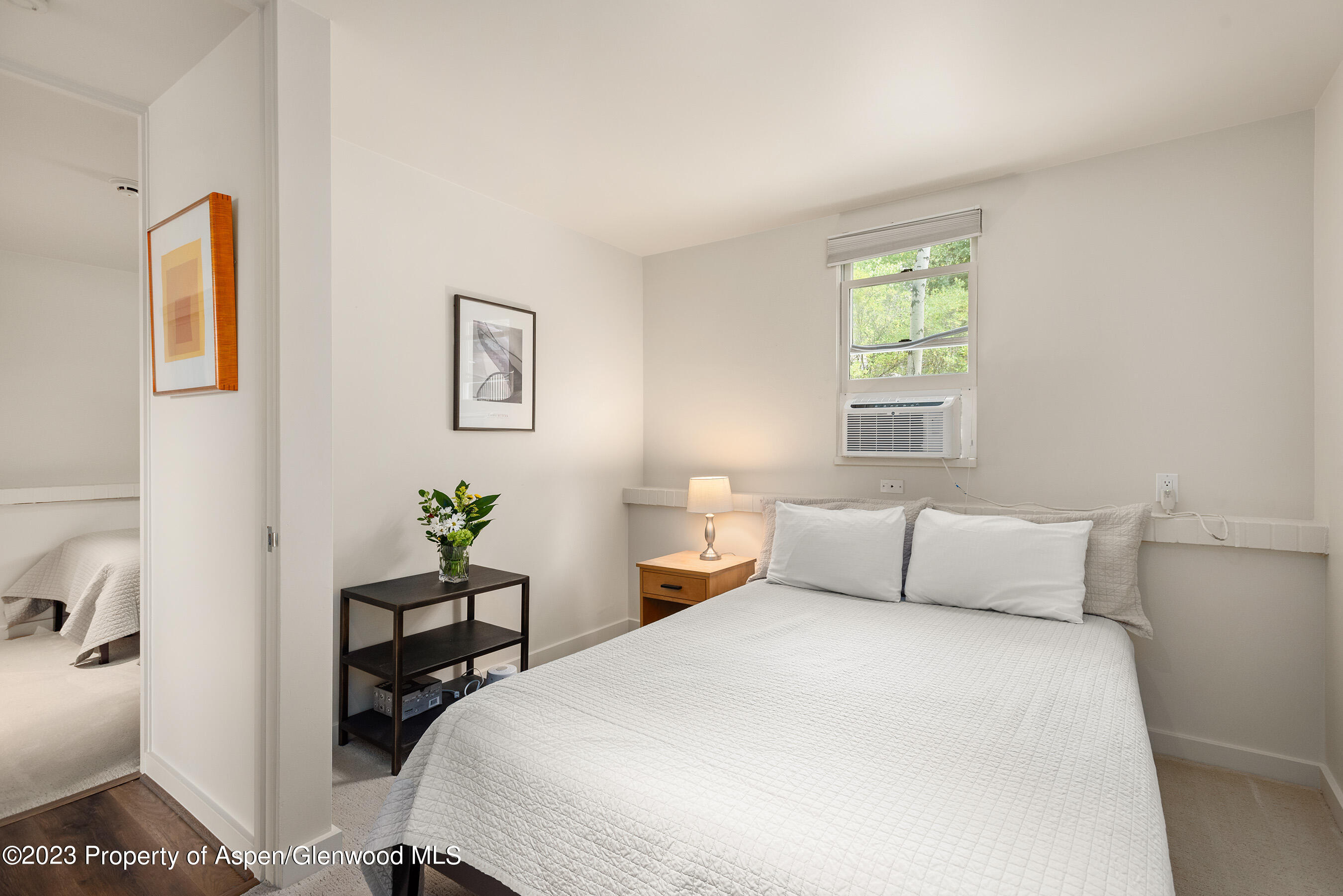 81 Meadows Trustee Road Aspen CO 81611