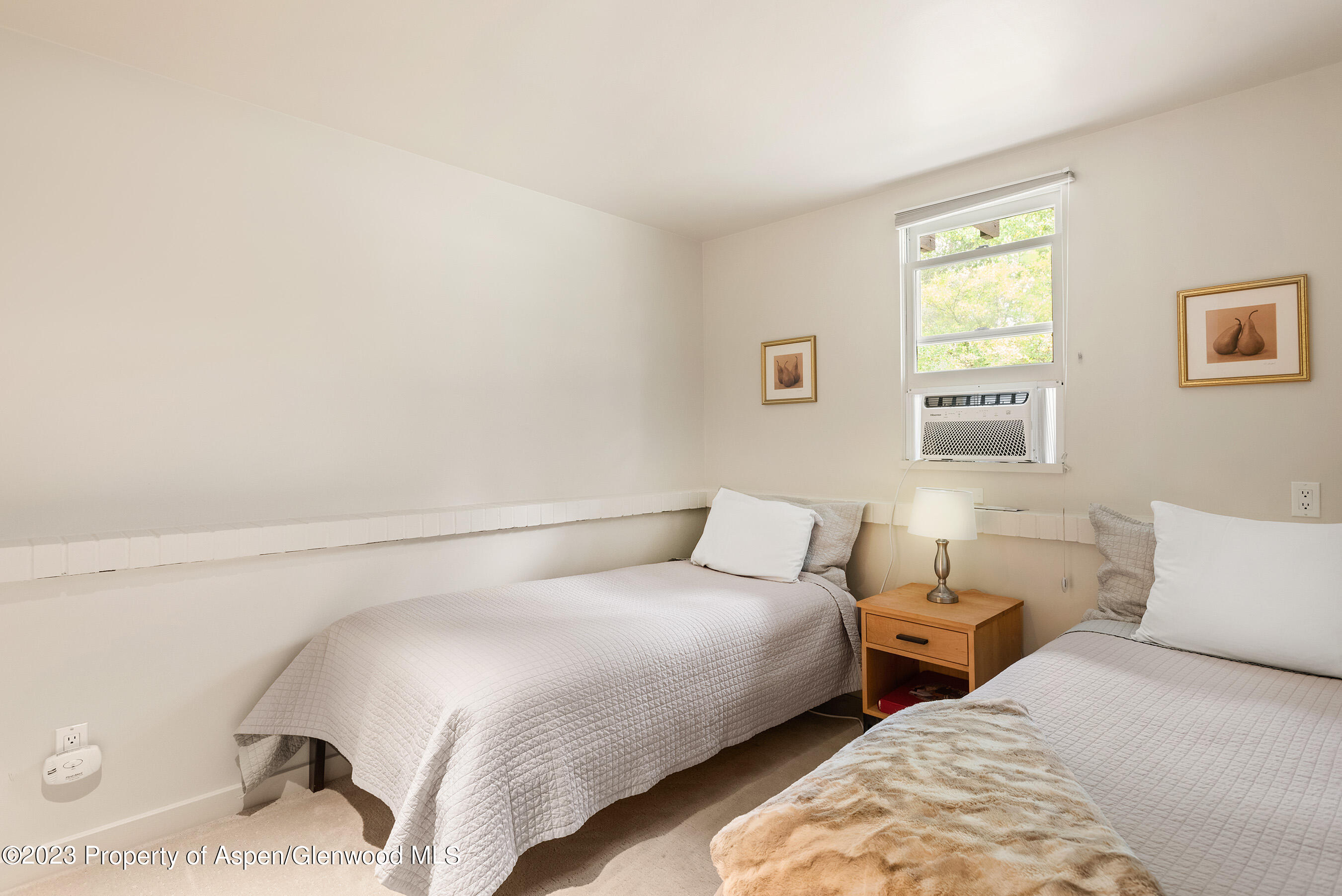 81 Meadows Trustee Road Aspen CO 81611