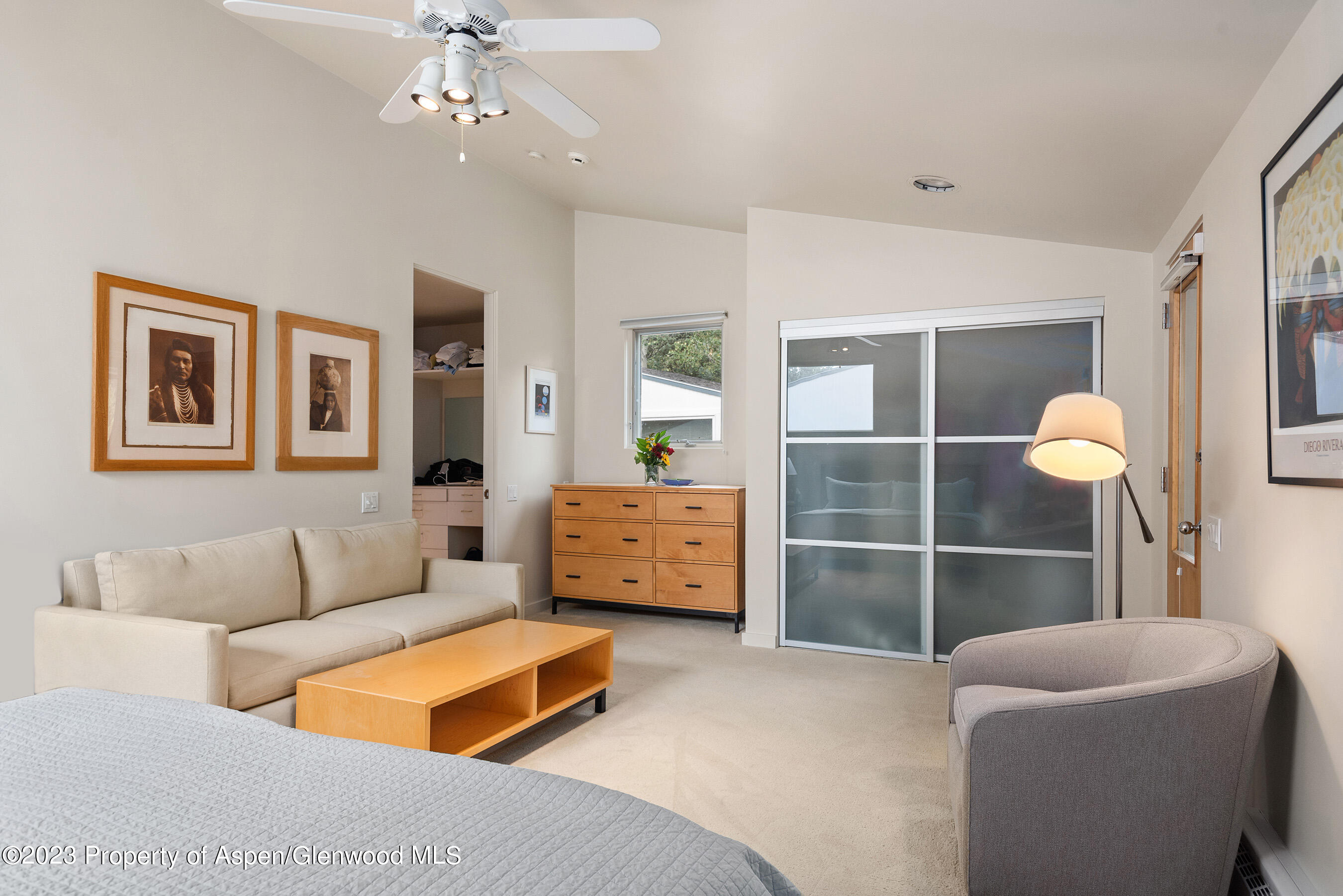 81 Meadows Trustee Road Aspen CO 81611