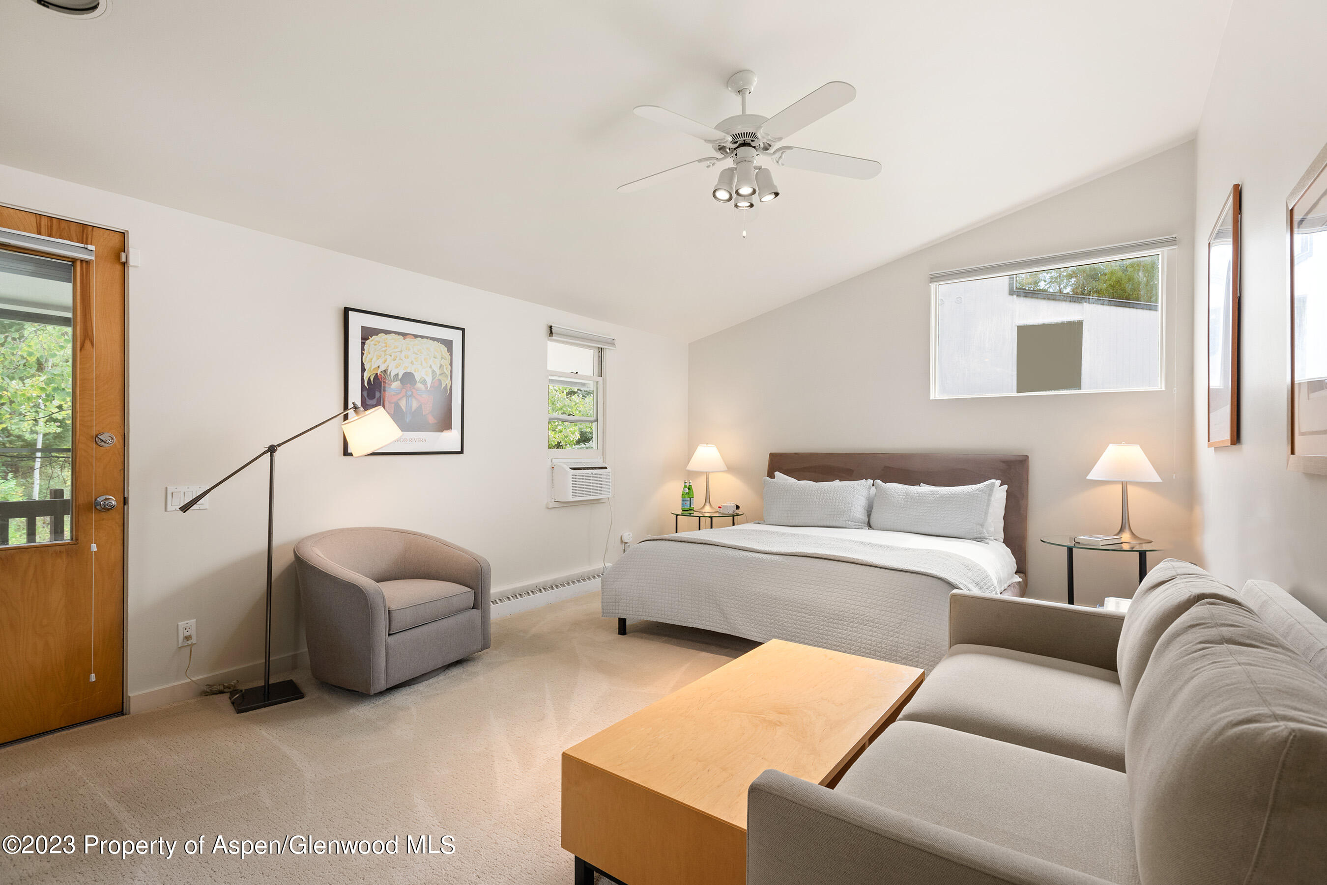 81 Meadows Trustee Road Aspen CO 81611