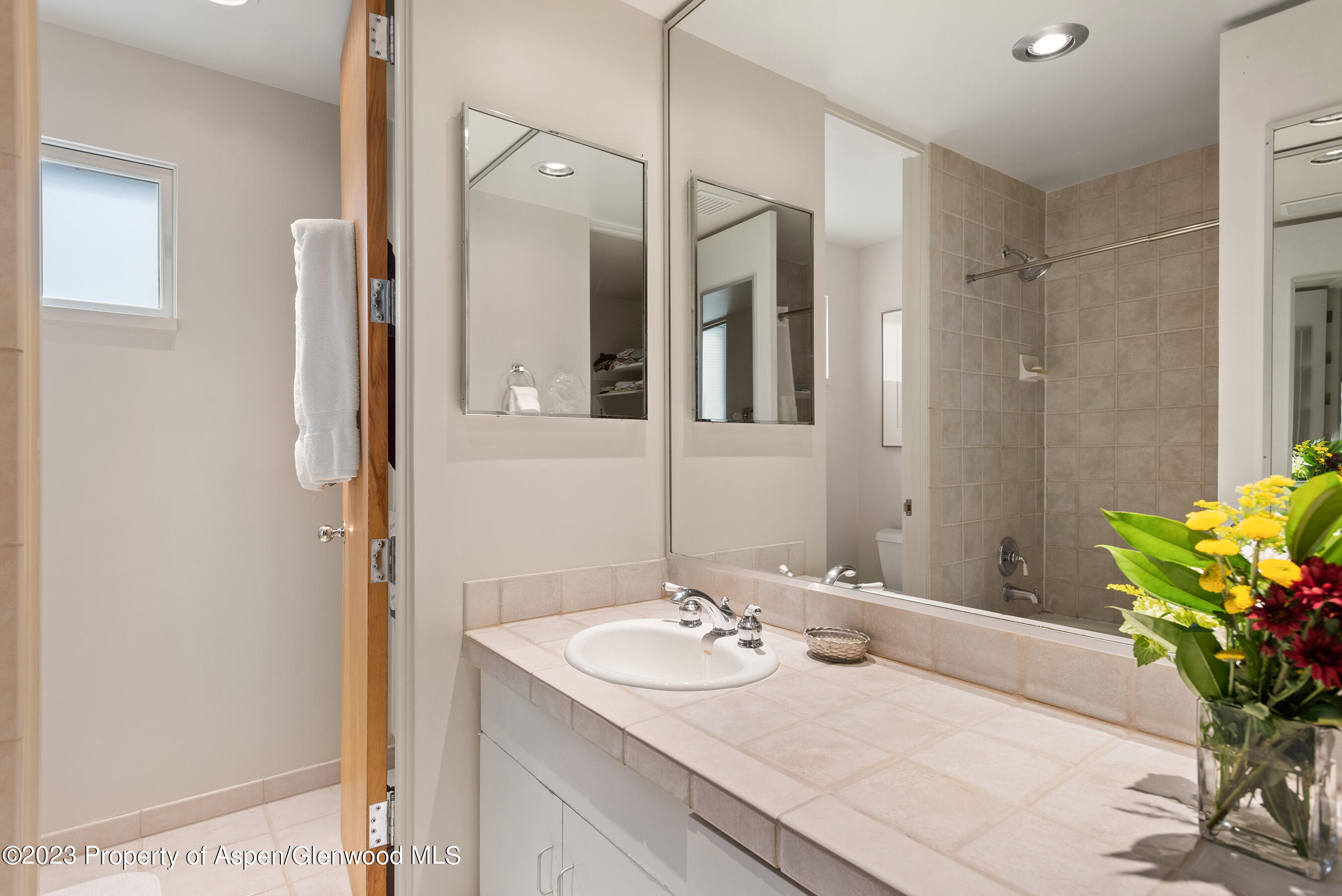 81 Meadows Trustee Road Aspen CO 81611