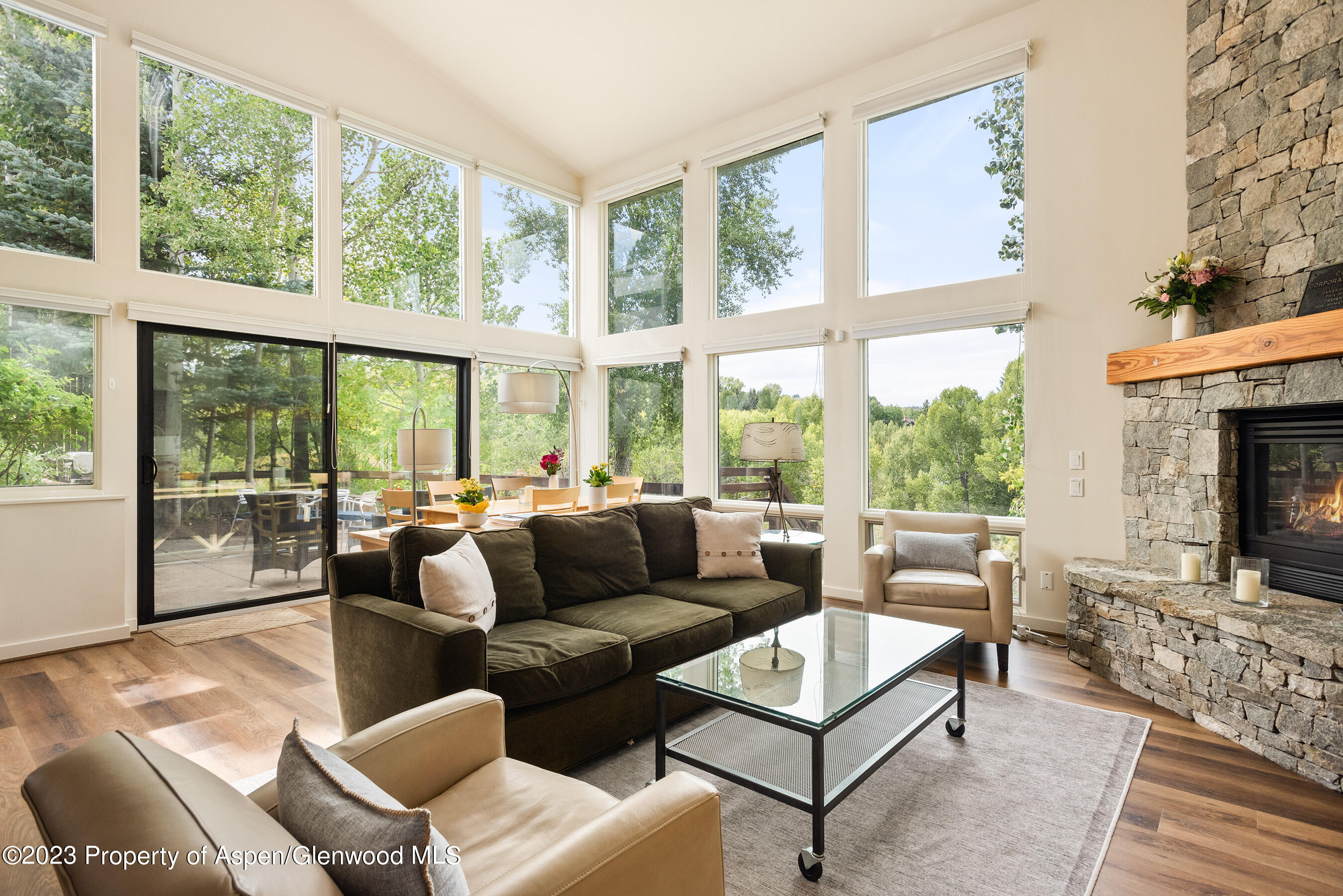 81 Meadows Trustee Road Aspen CO 81611