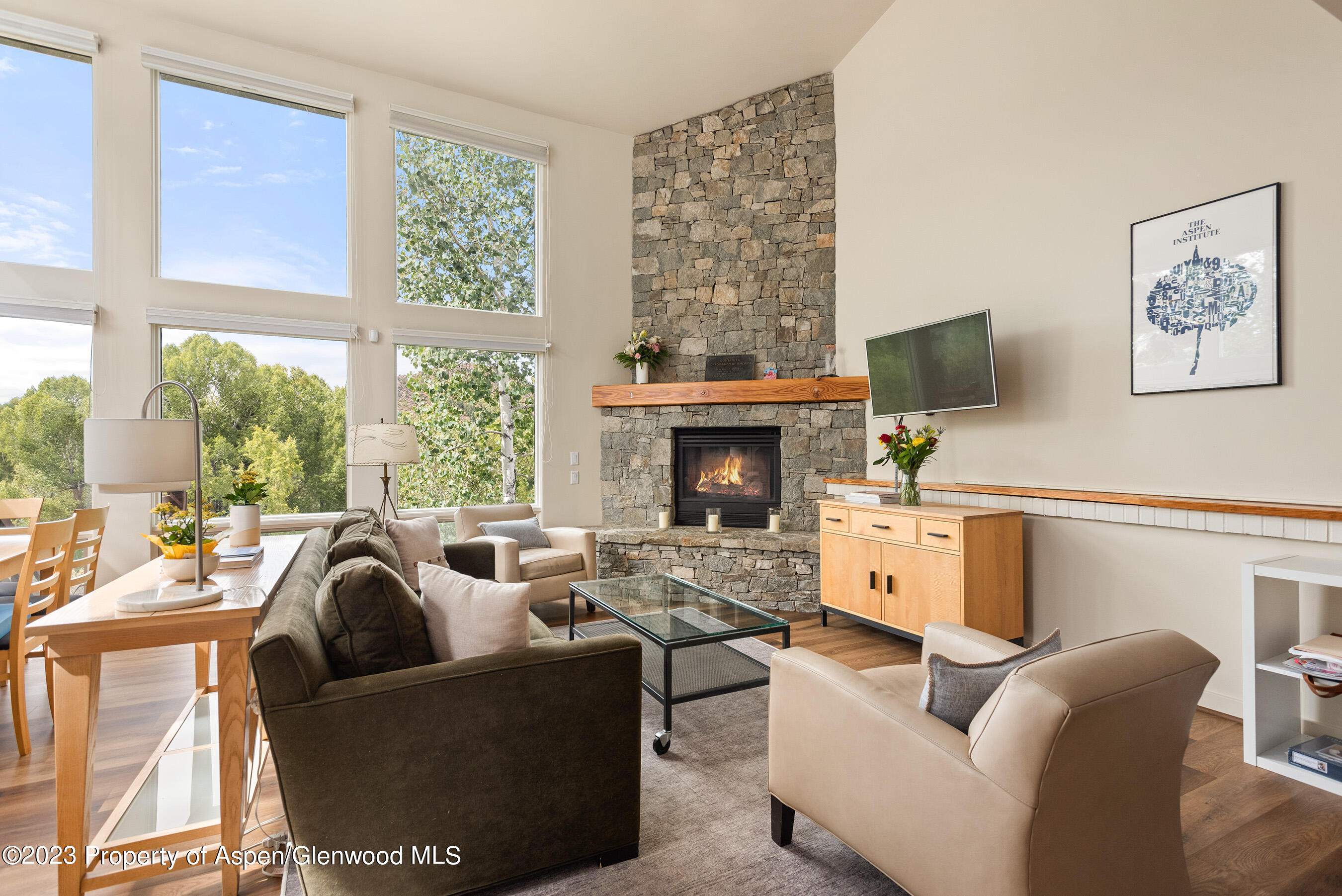 81 Meadows Trustee Road Aspen CO 81611