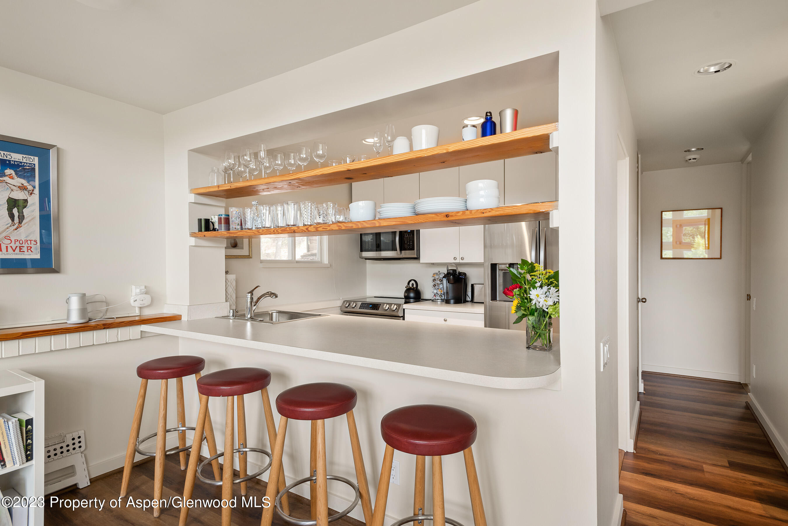 81 Meadows Trustee Road Aspen CO 81611