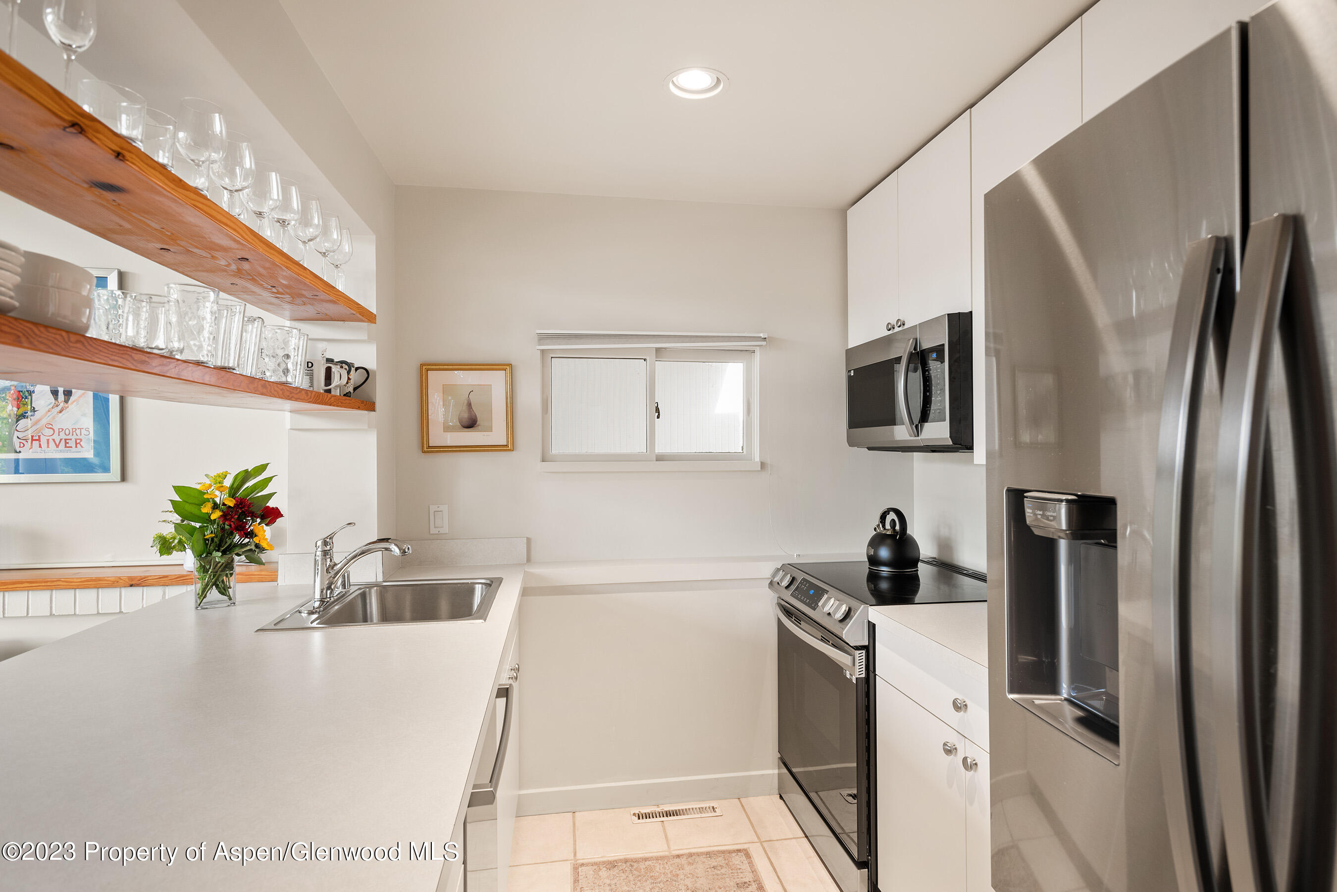 81 Meadows Trustee Road Aspen CO 81611