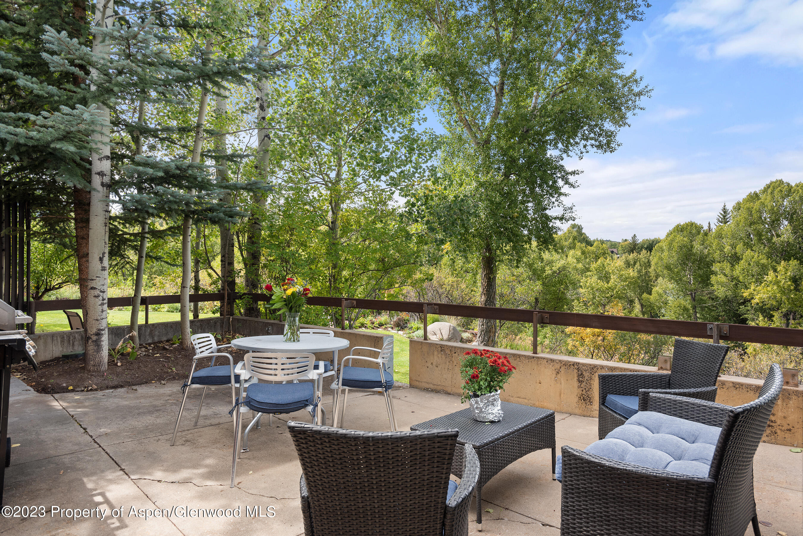 81 Meadows Trustee Road Aspen CO 81611