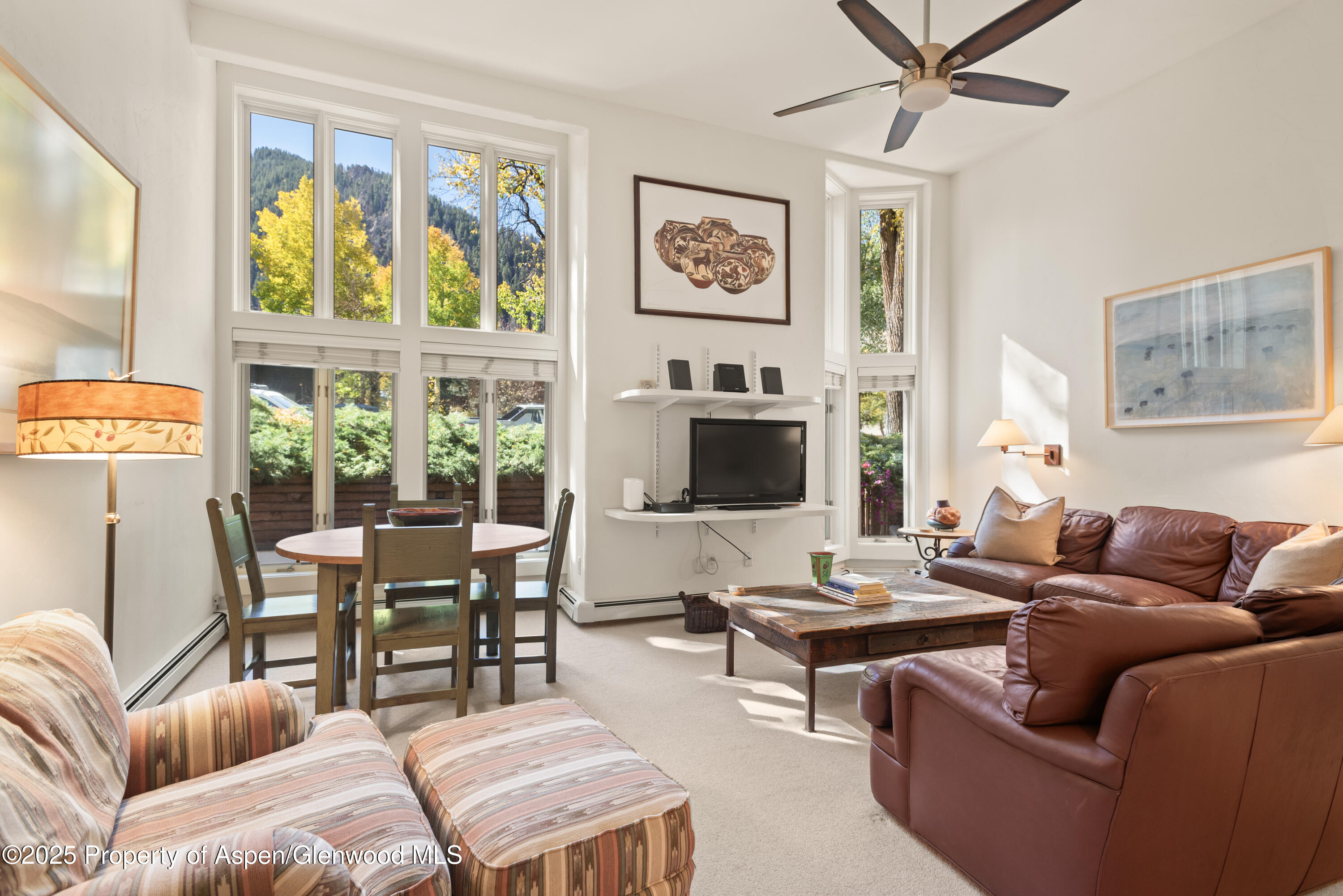 900 E Durant Avenue Aspen CO 81611