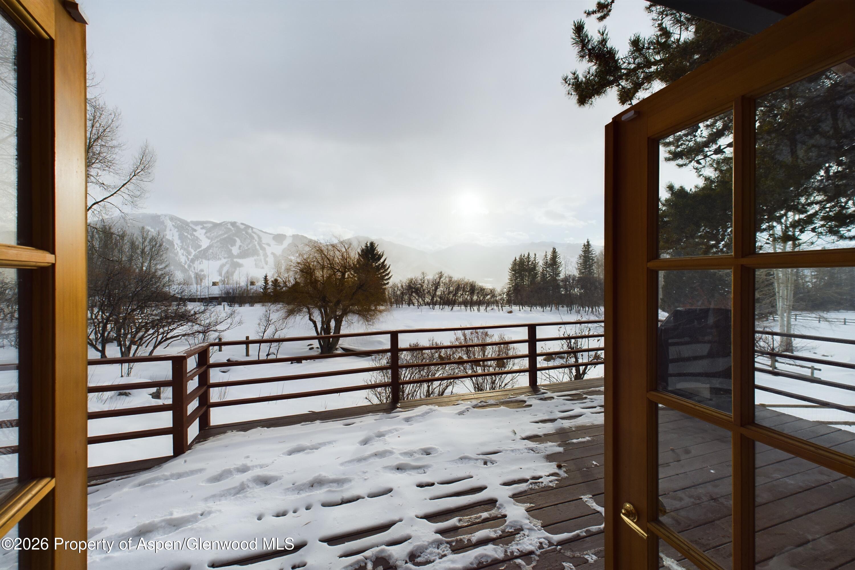 209 E Reds Road Aspen CO 81611