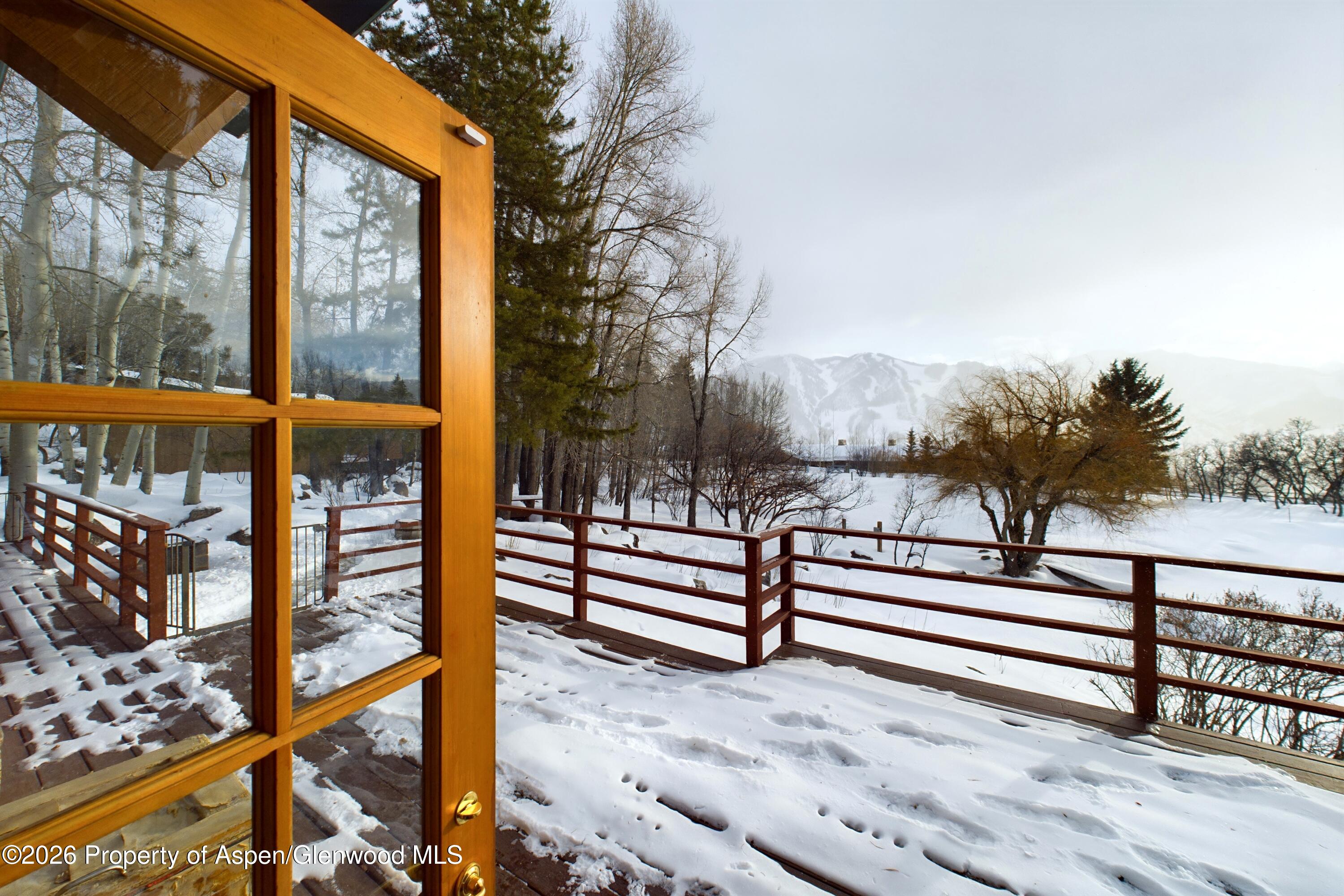 209 E Reds Road Aspen CO 81611