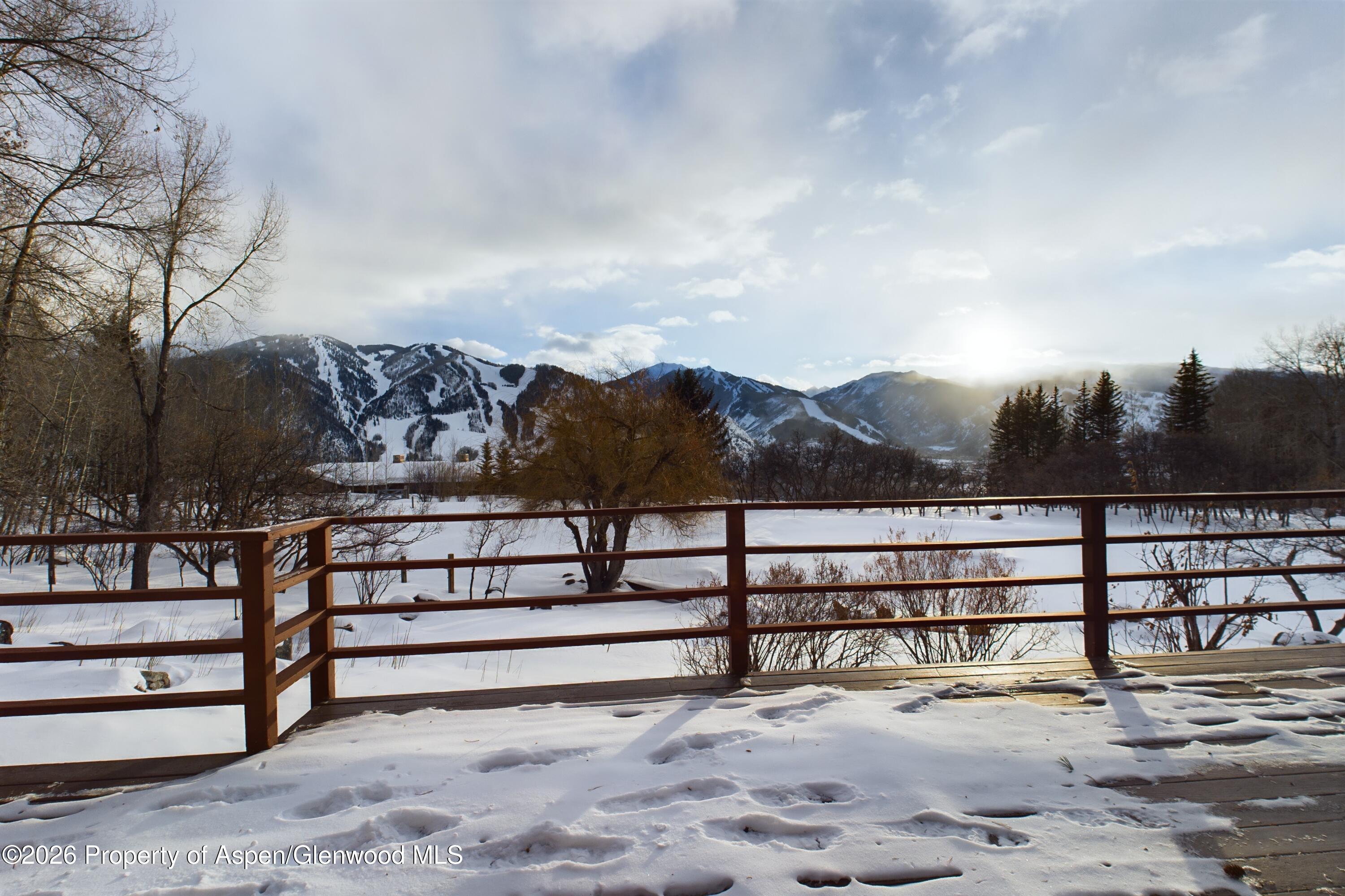 209 E Reds Road Aspen CO 81611