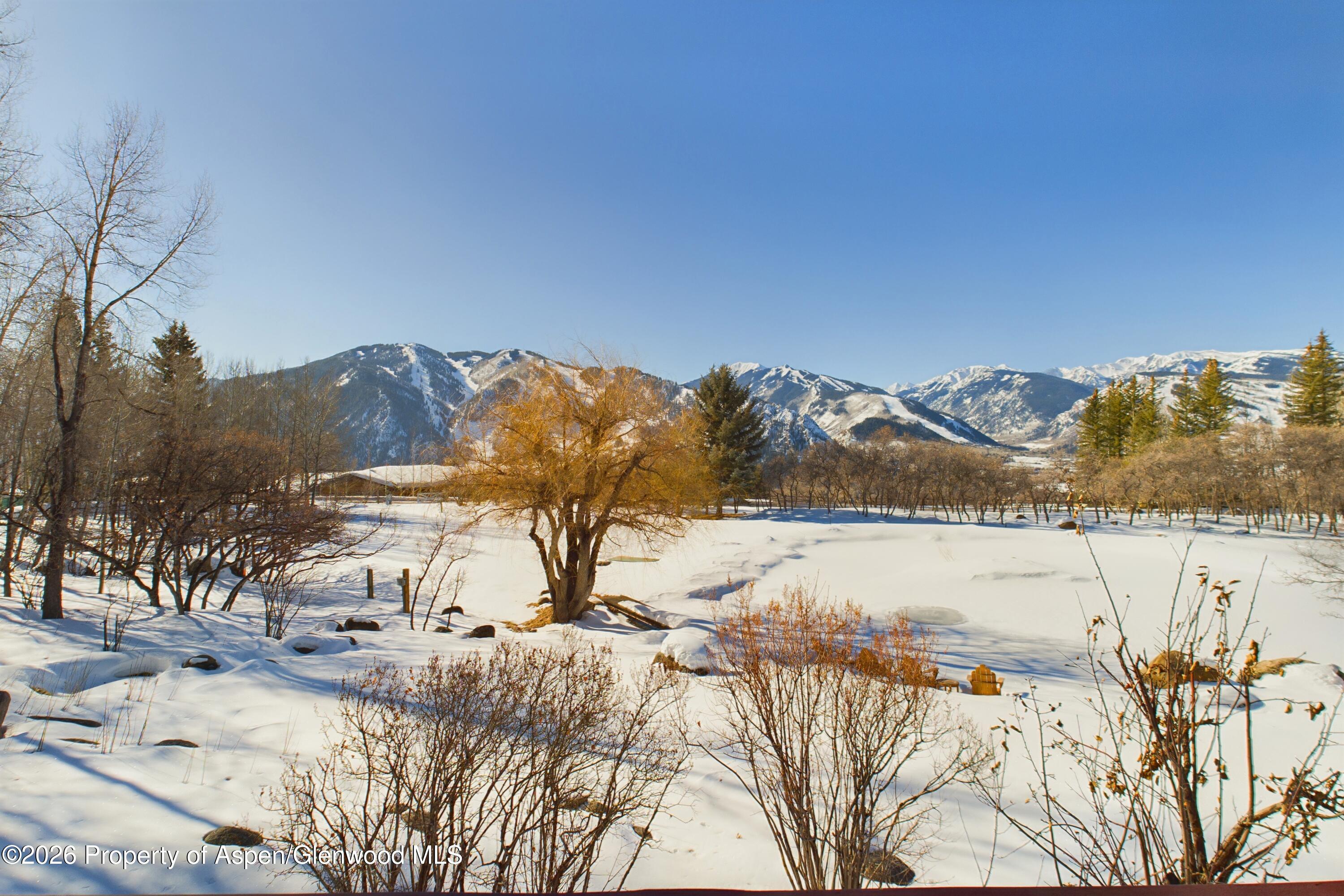 209 E Reds Road Aspen CO 81611