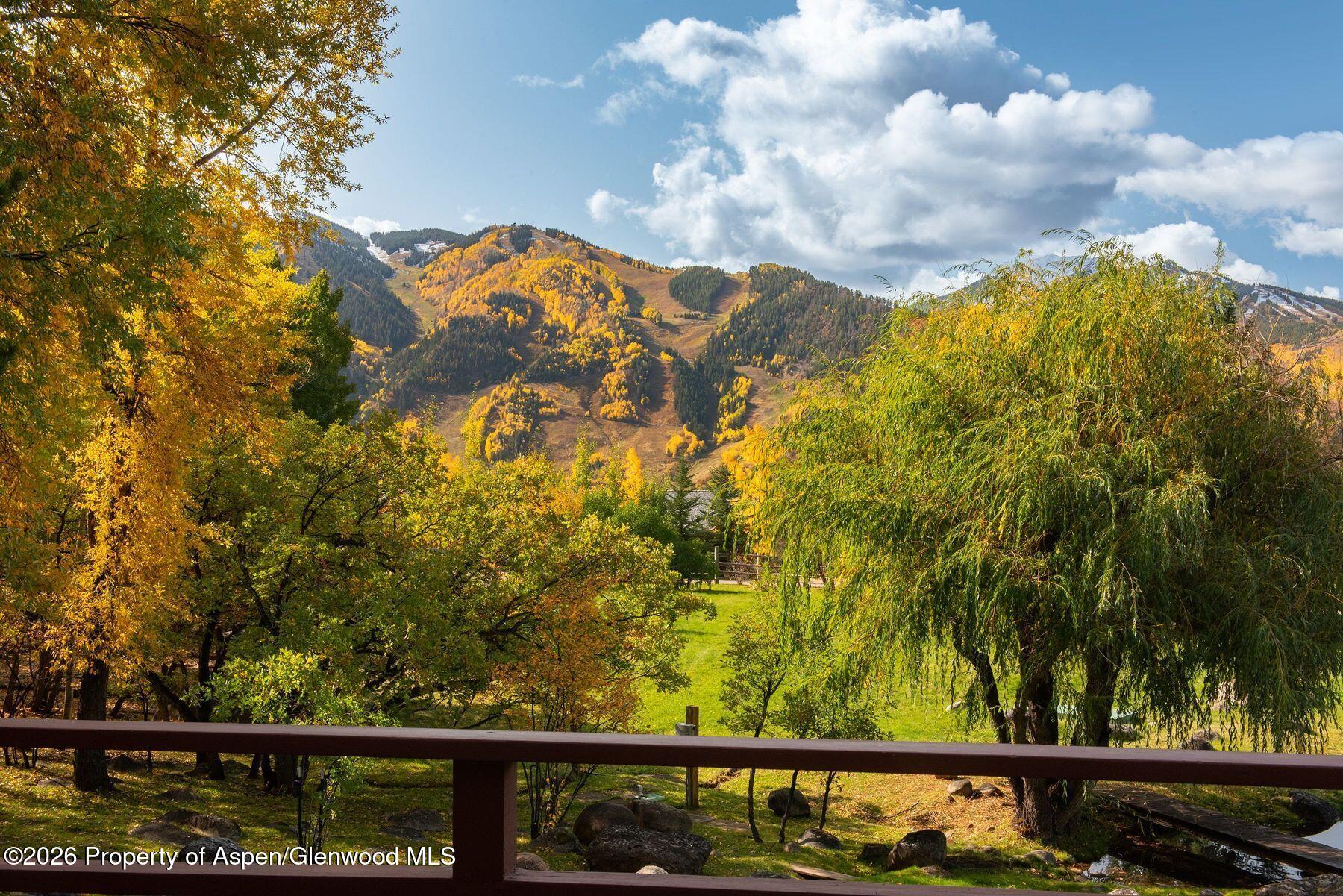 209 E Reds Road Aspen CO 81611