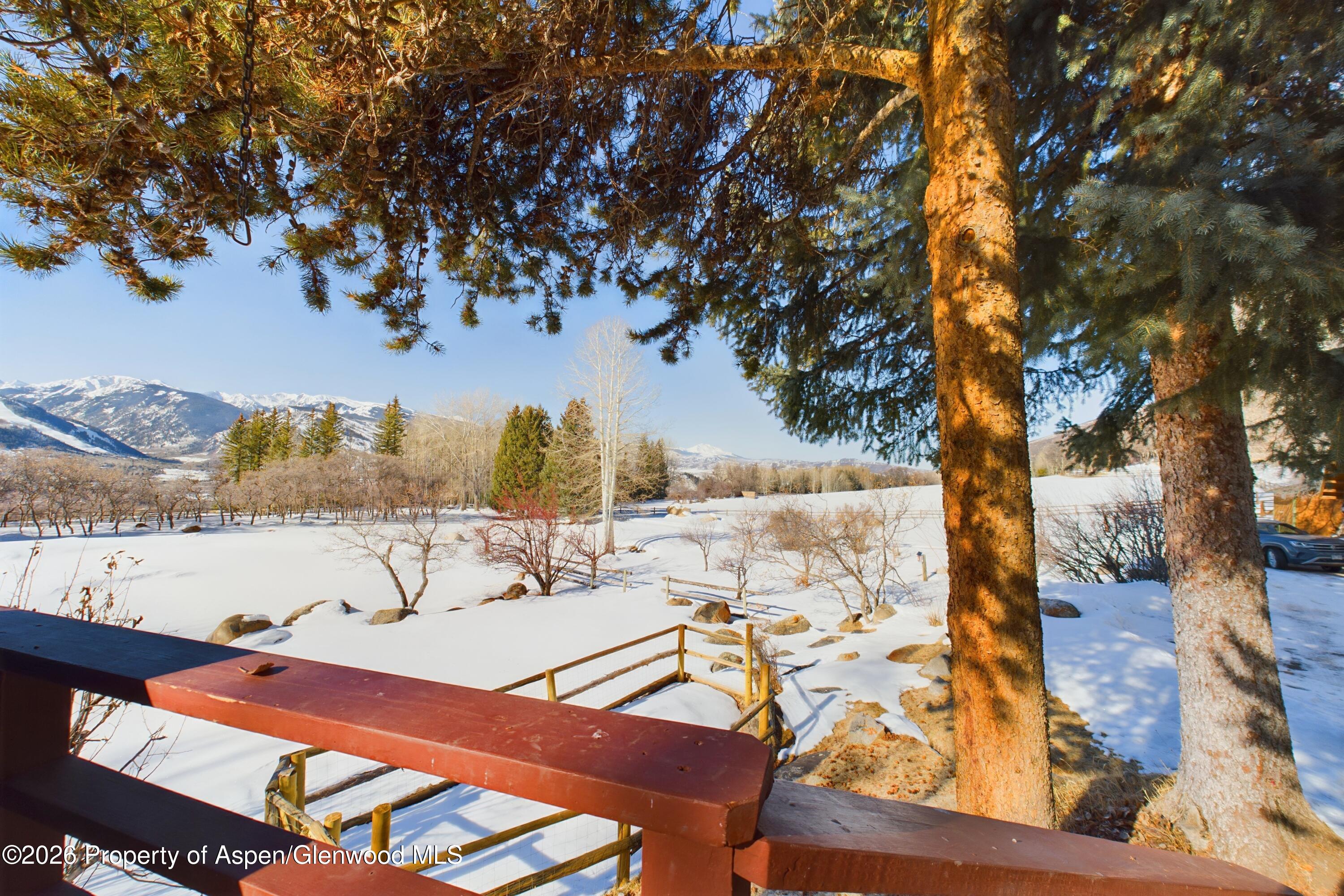 209 E Reds Road Aspen CO 81611