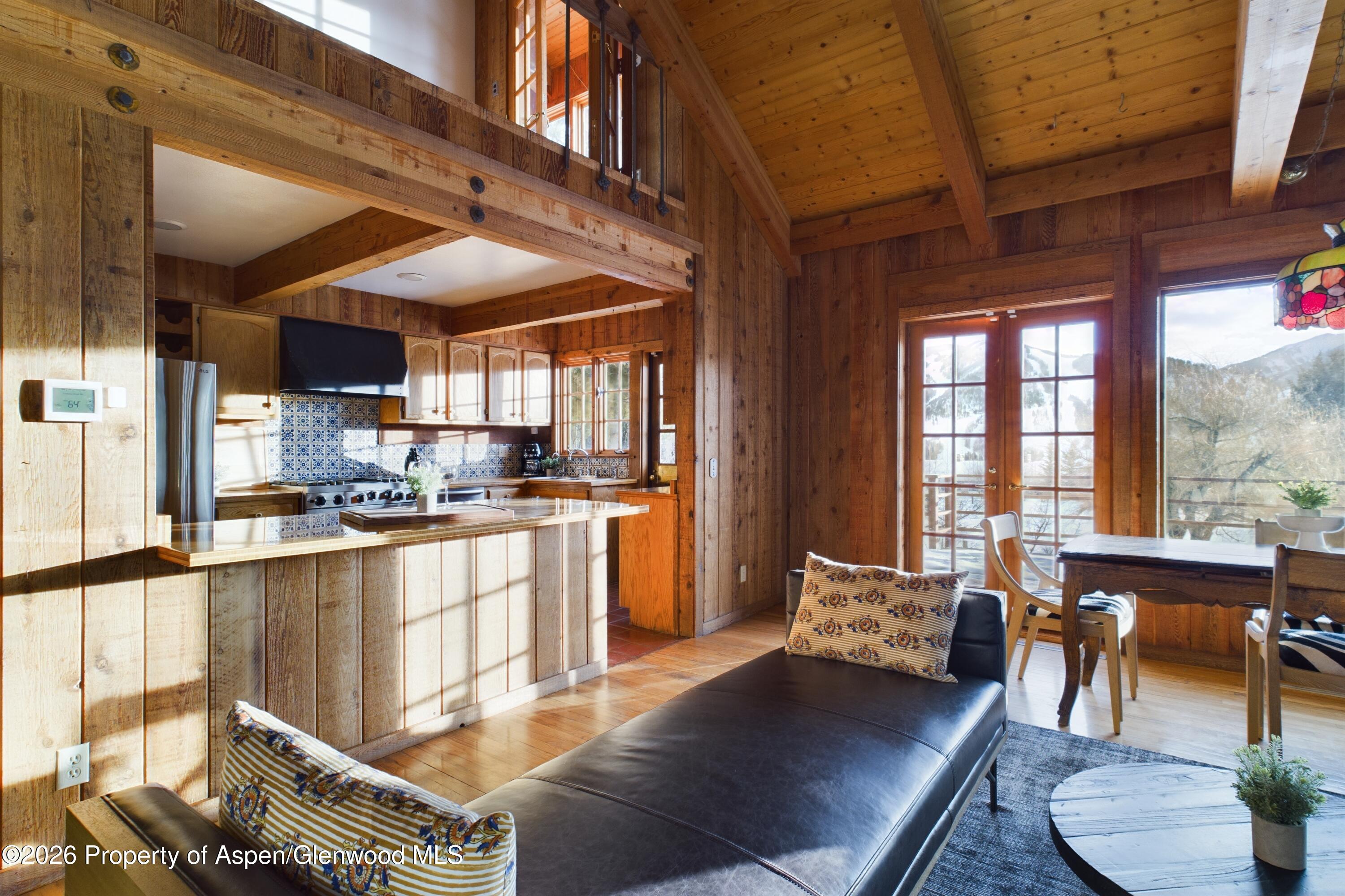 209 E Reds Road Aspen CO 81611