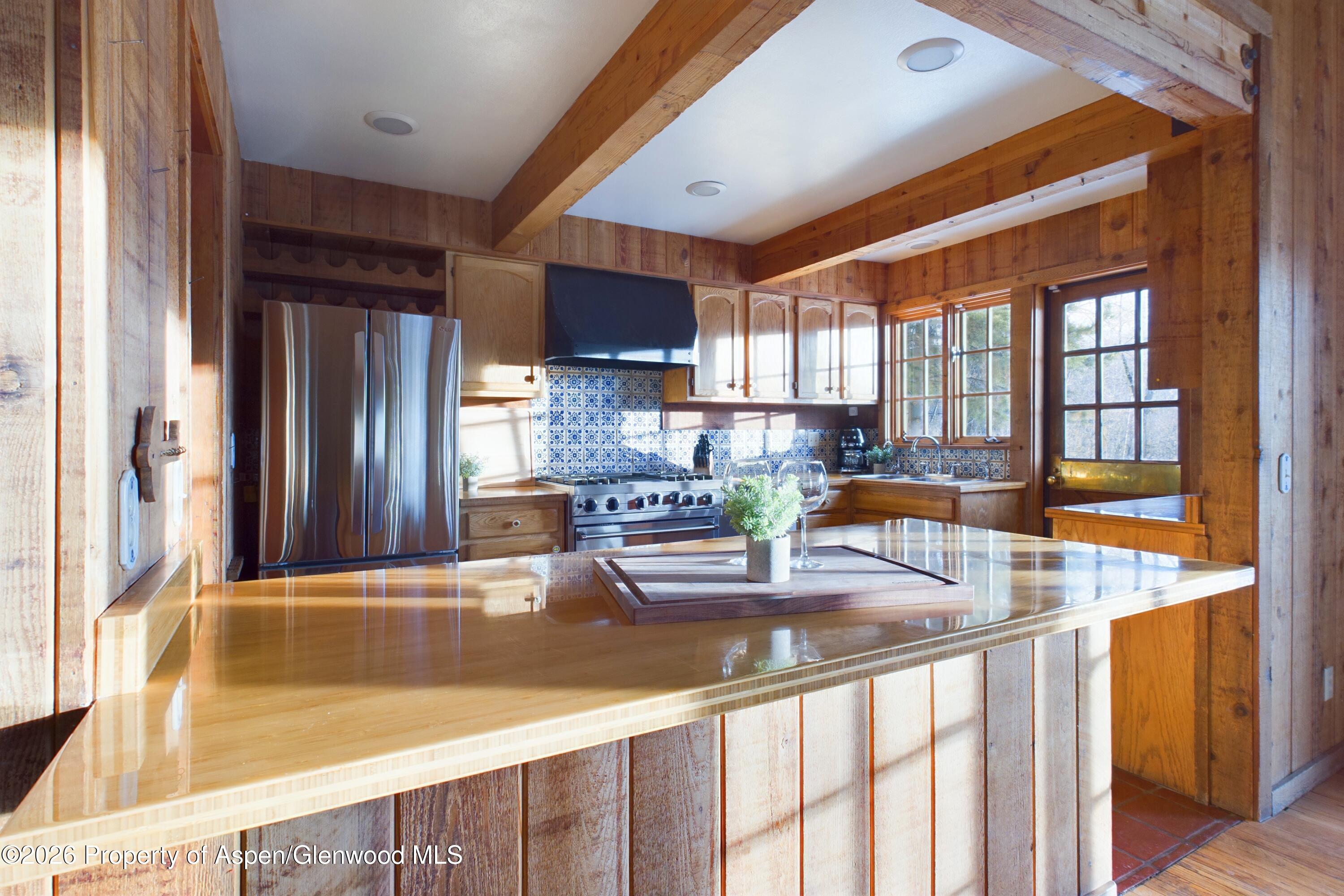 209 E Reds Road Aspen CO 81611