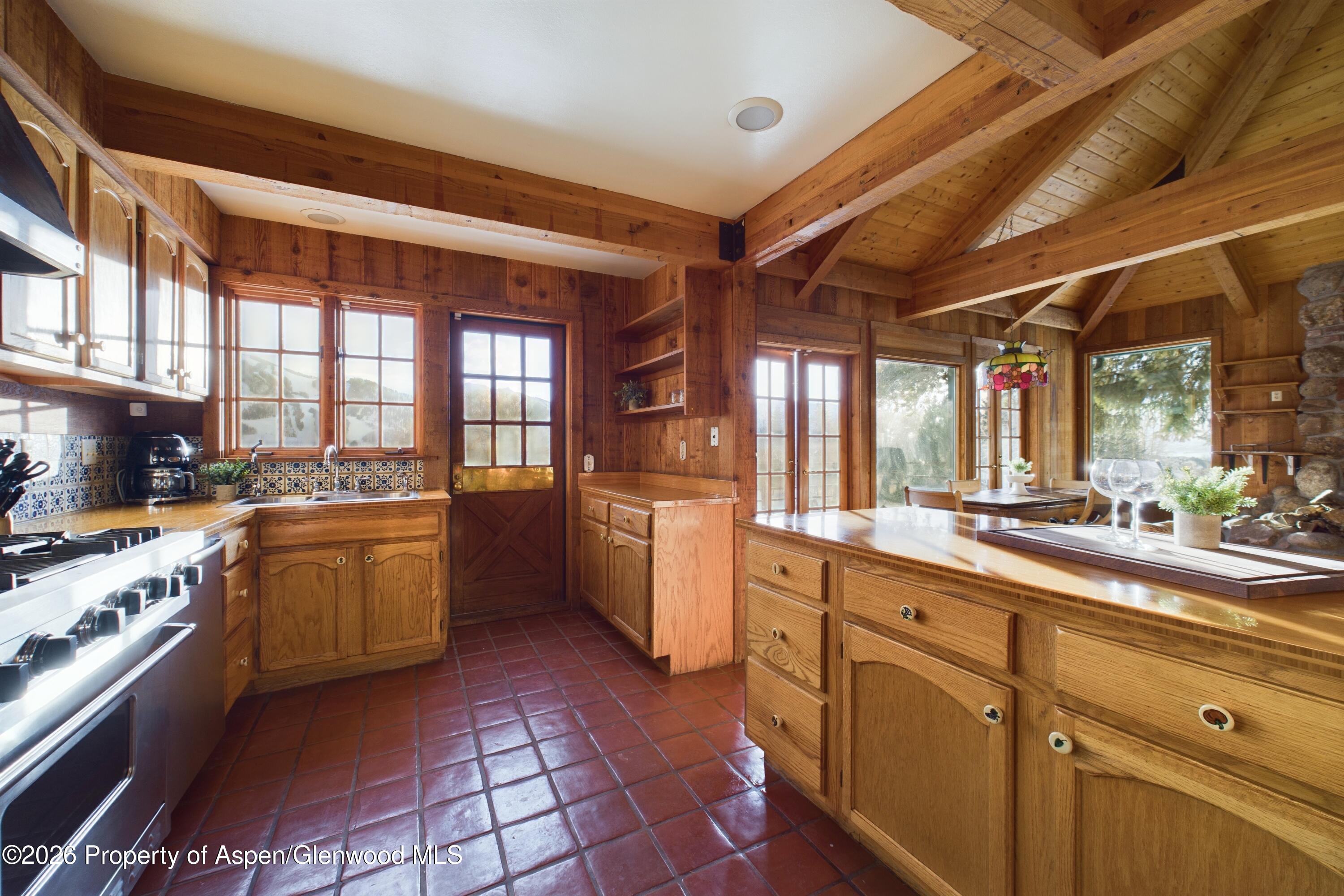209 E Reds Road Aspen CO 81611