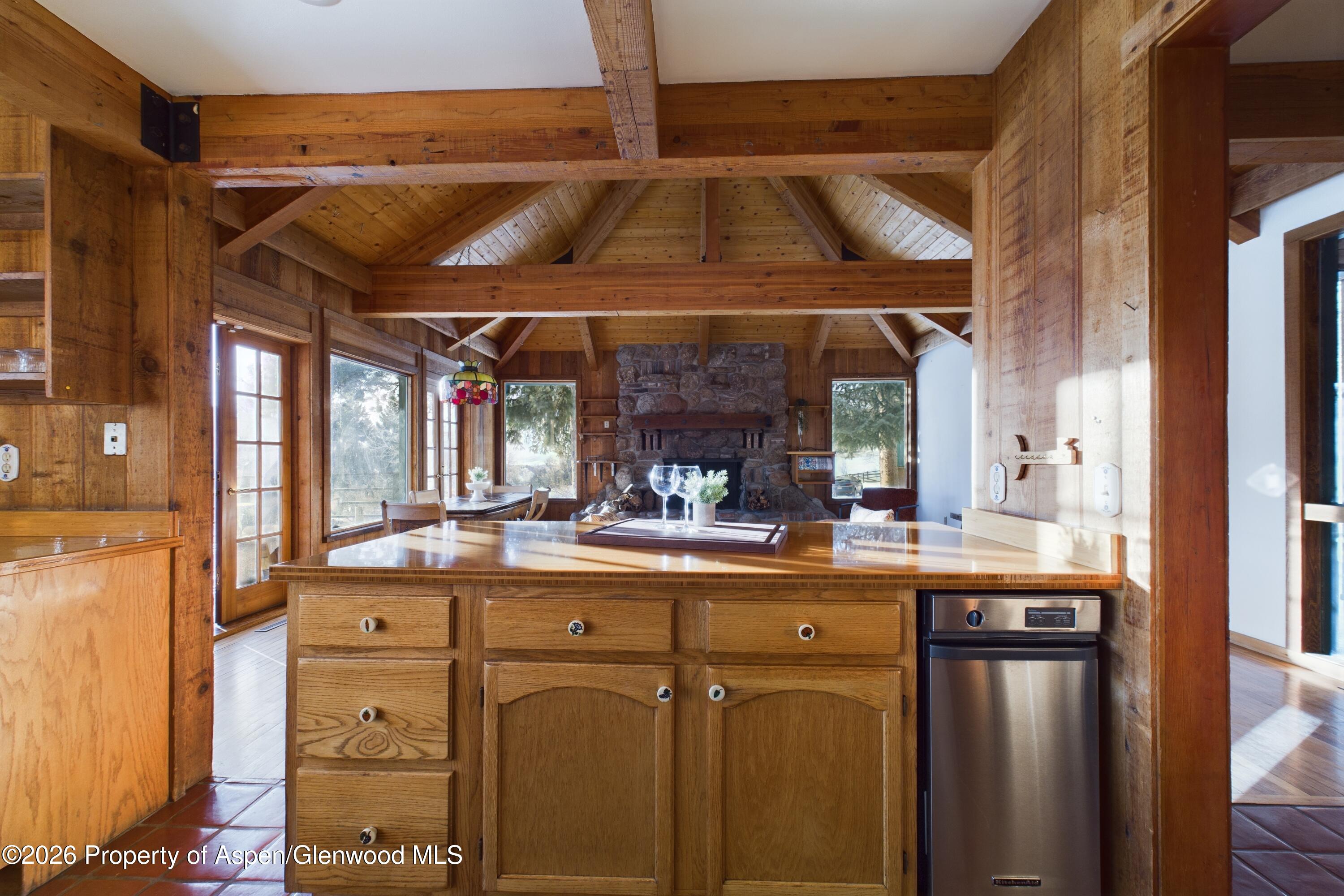 209 E Reds Road Aspen CO 81611